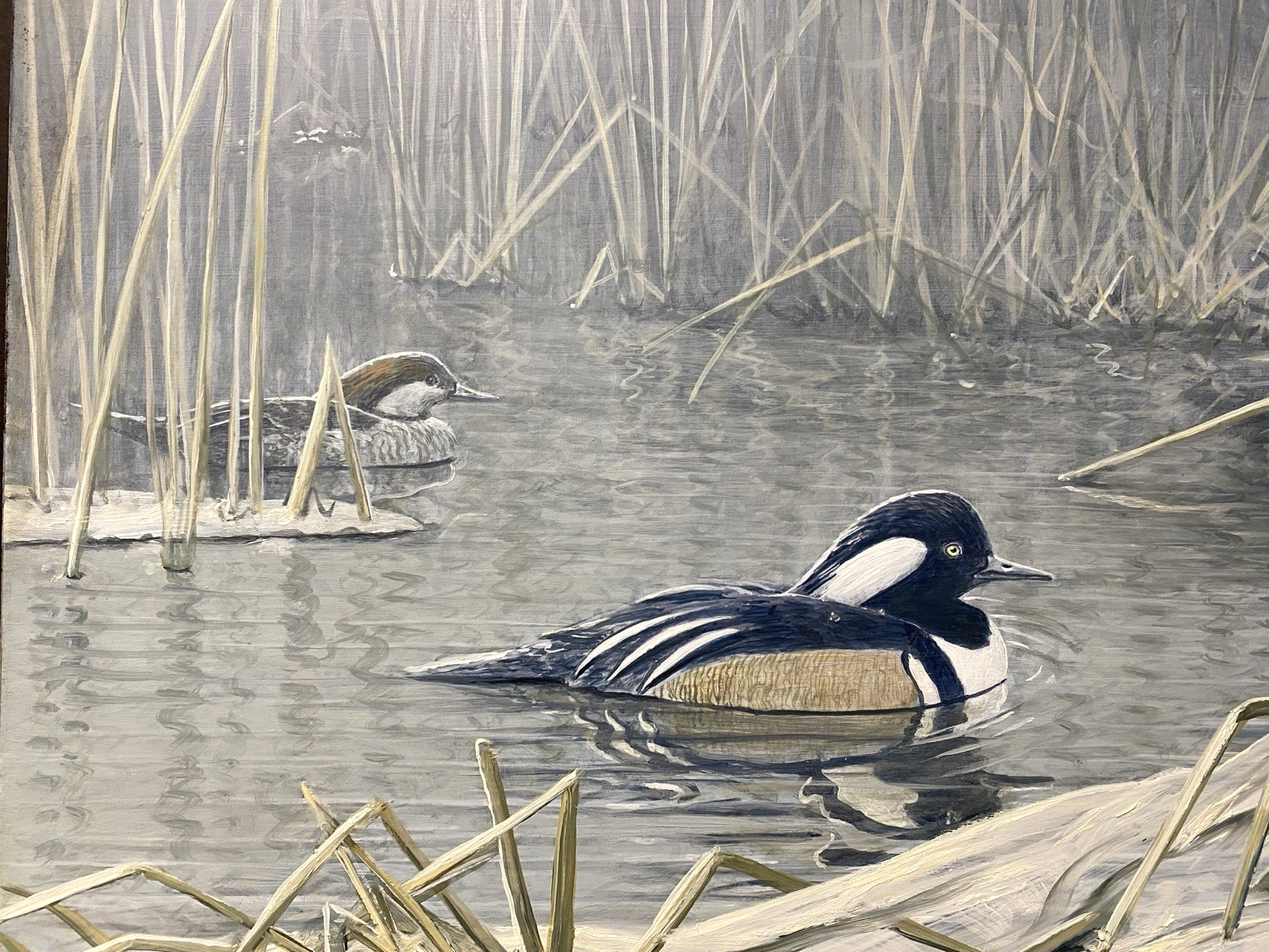 MICHAEL FRASE ORIGINAL BIRD/DUCK ART PAINTING HOODED MERGANSER PAIR, SIGNED, OIL