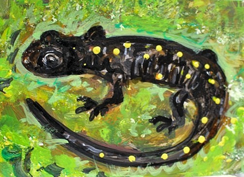 ORIGINAL ACEO Painting SALAMANDER Amphibian Spring Animal Nature Moss ATC ART