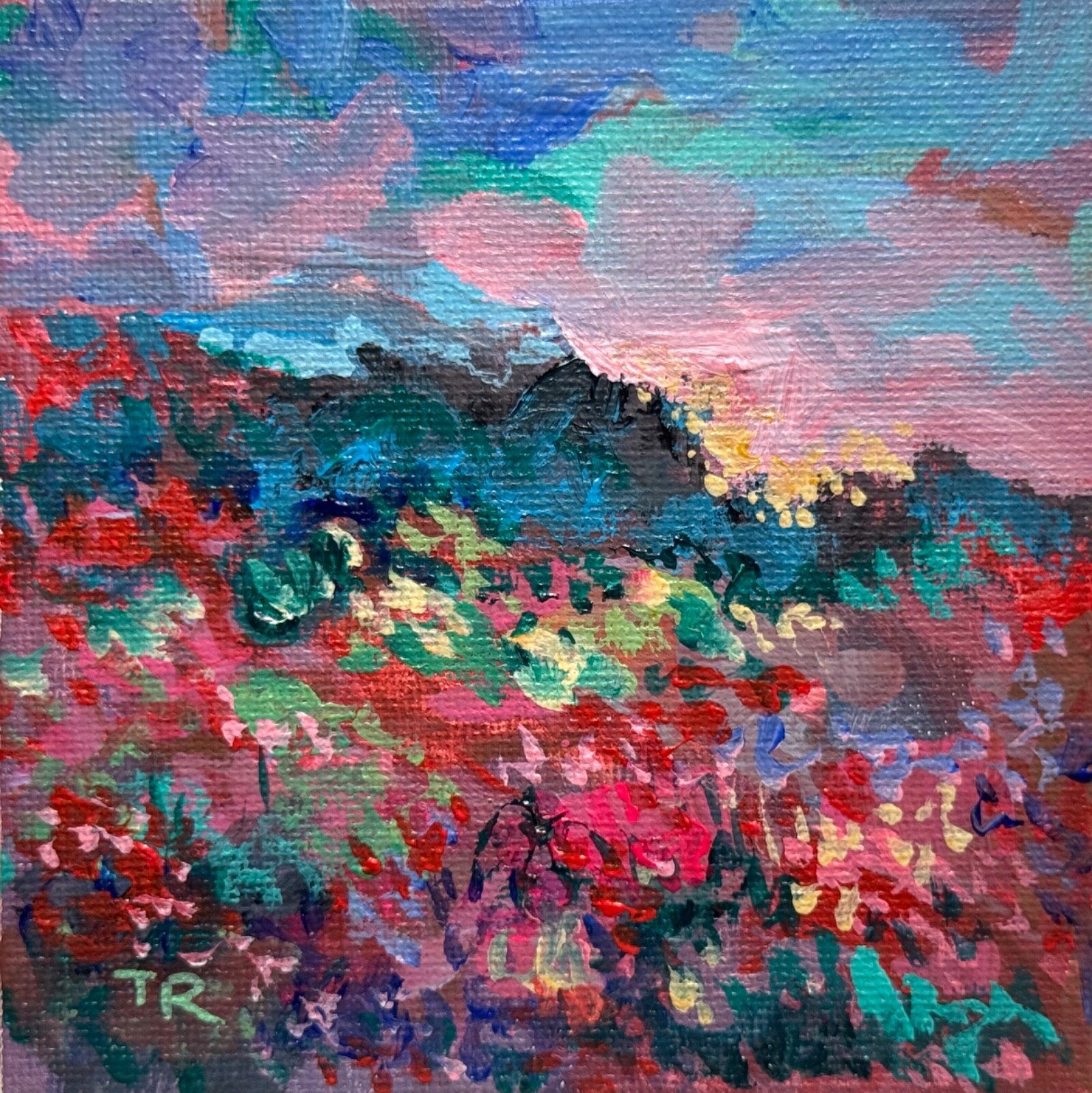 Wildflower field Original art Landscape red flower floral Acrylic Painting 4×4”