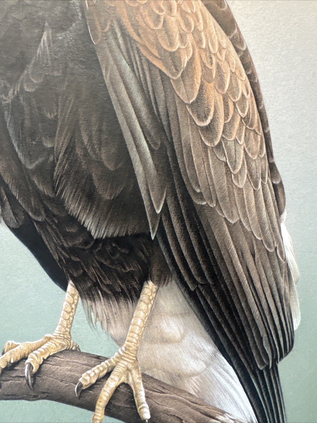 REALIST PAINTING EAGLE BIRD REALISM LARRY HUNT EXHIBITED NATURE WESTERN ARTIST