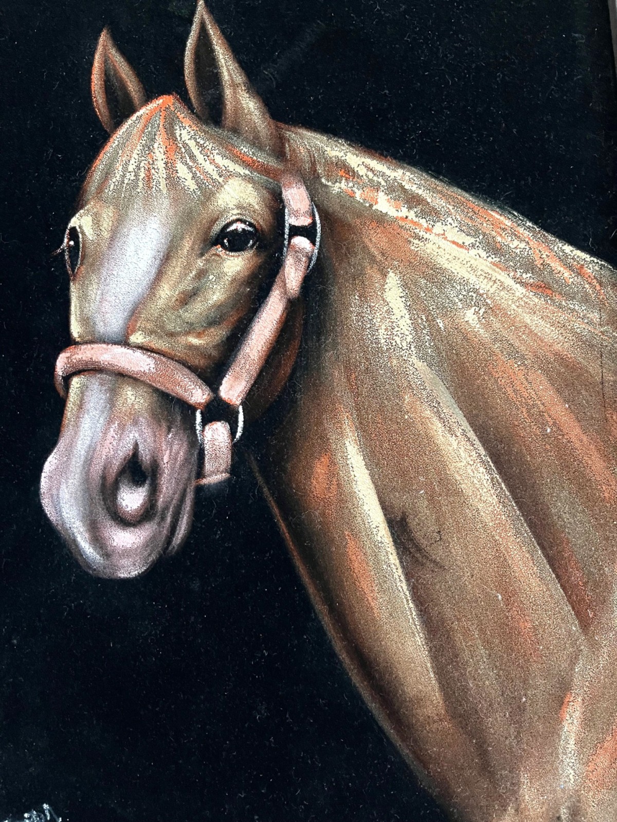 Vintage Velvet Painting of a Horse in a Carved Wooden Frame 15 x 21 x 1.5″