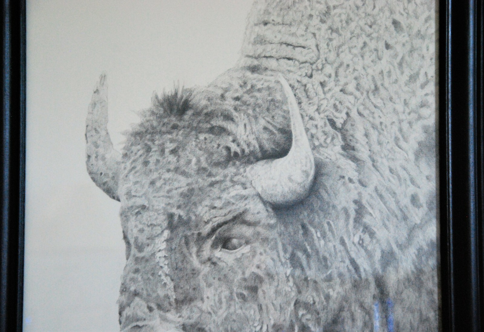 Original Signed Artwork Framed 22″X28″ Graphite Pencil Bison Grand Teton N.P.