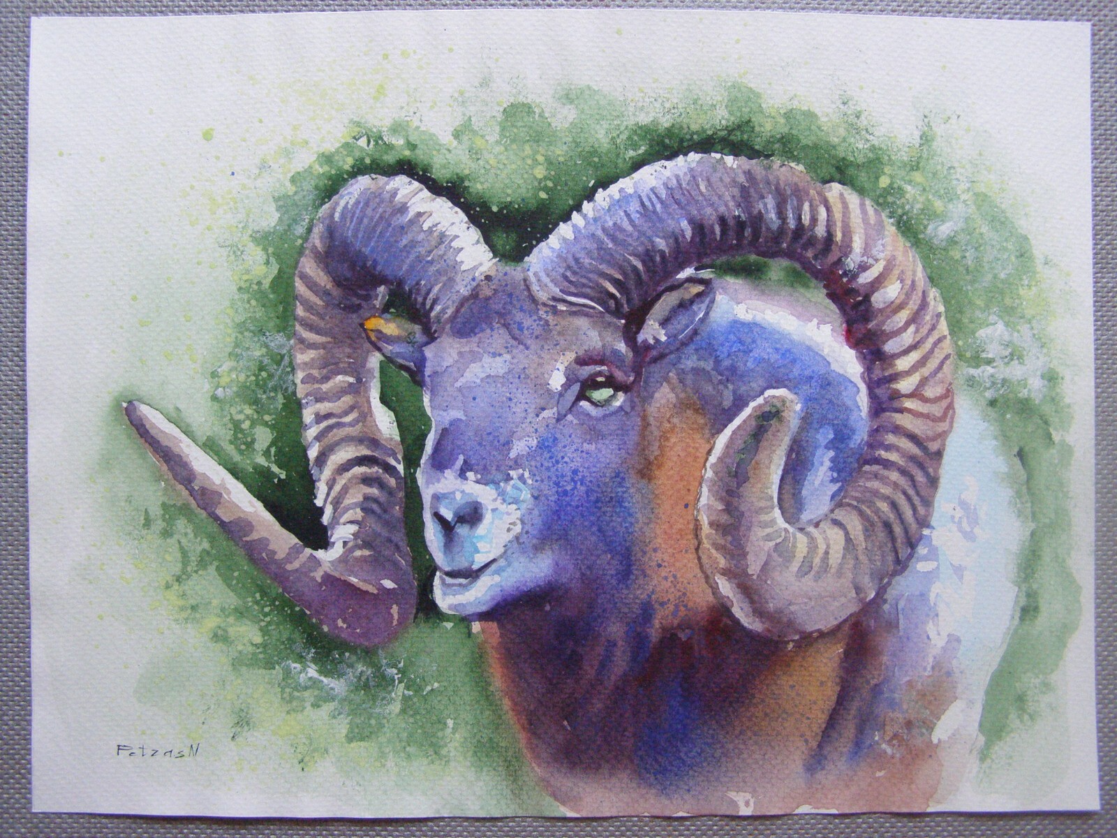 MOUFLON OVIS Animals Original Watercolor Acrylic Painting Art By Ukraine Artist