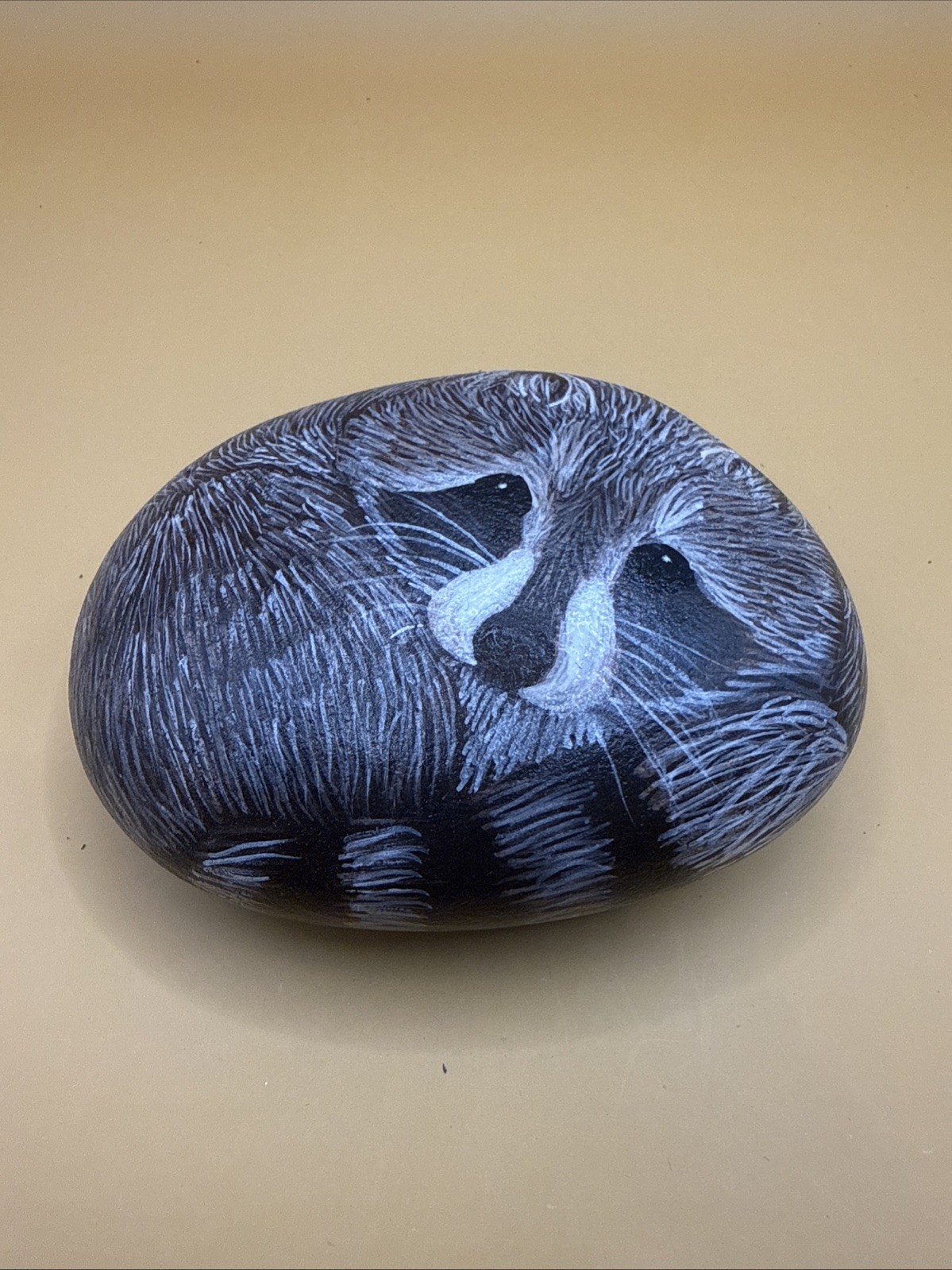 Raccoon Rock Art By Susan Reib. Paperweight Size. Beautiful For Home Or Office.