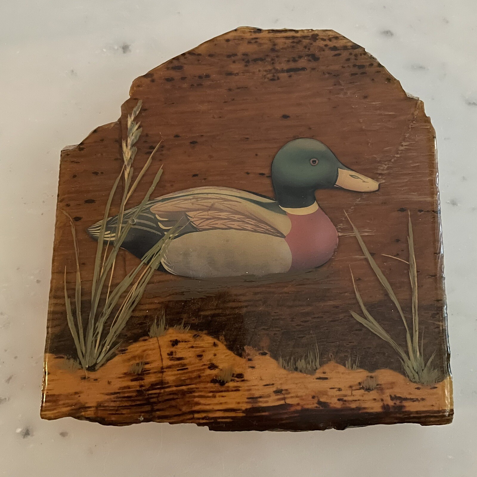 Petrified Wood With Painted Duck Swimming Pond
