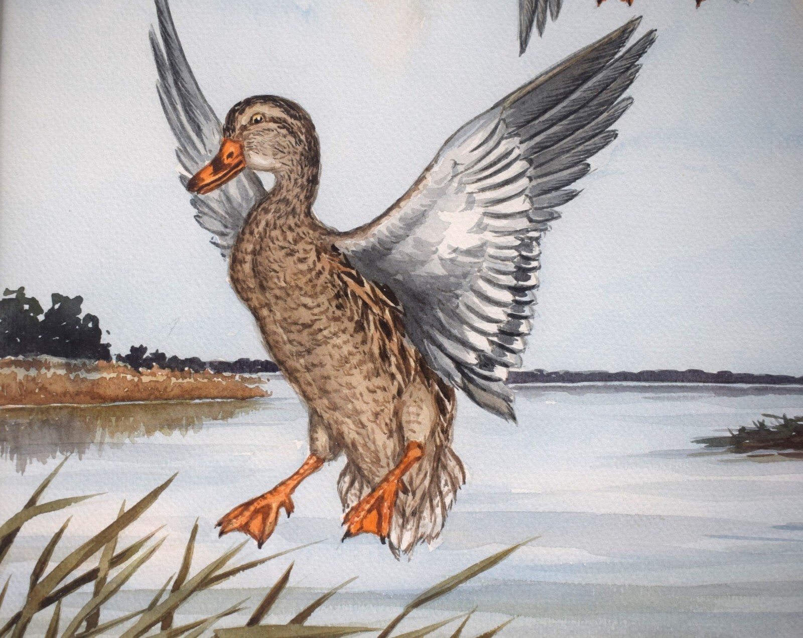«3 Ducks in Flight» Watercolour by Jean Herblet Ex- C.Z. Guest Collection