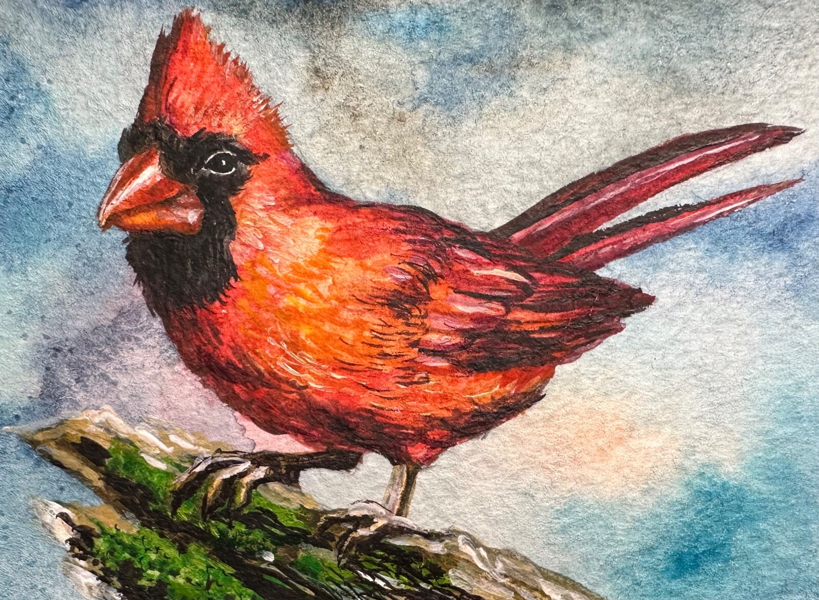 Watercolor Painting Northern Cardinal Red Bird Animals Art No.338