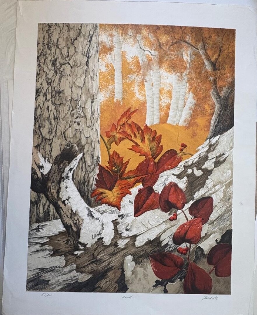 Autumn in the FOREST Hand Signed Limited Edition Artwork Print 57/200