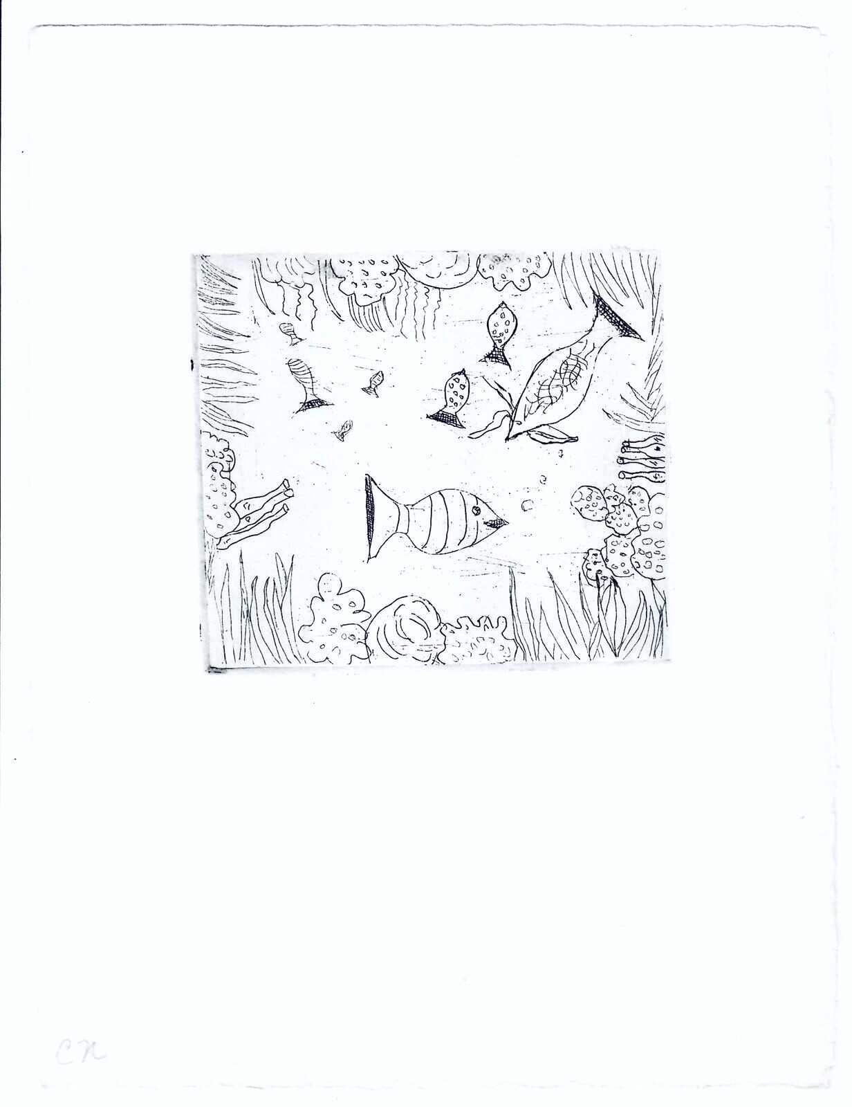 Tranquil Underwater Etching Small 80s Art Tropical Fish Tank Sea Ocean Reef MCM