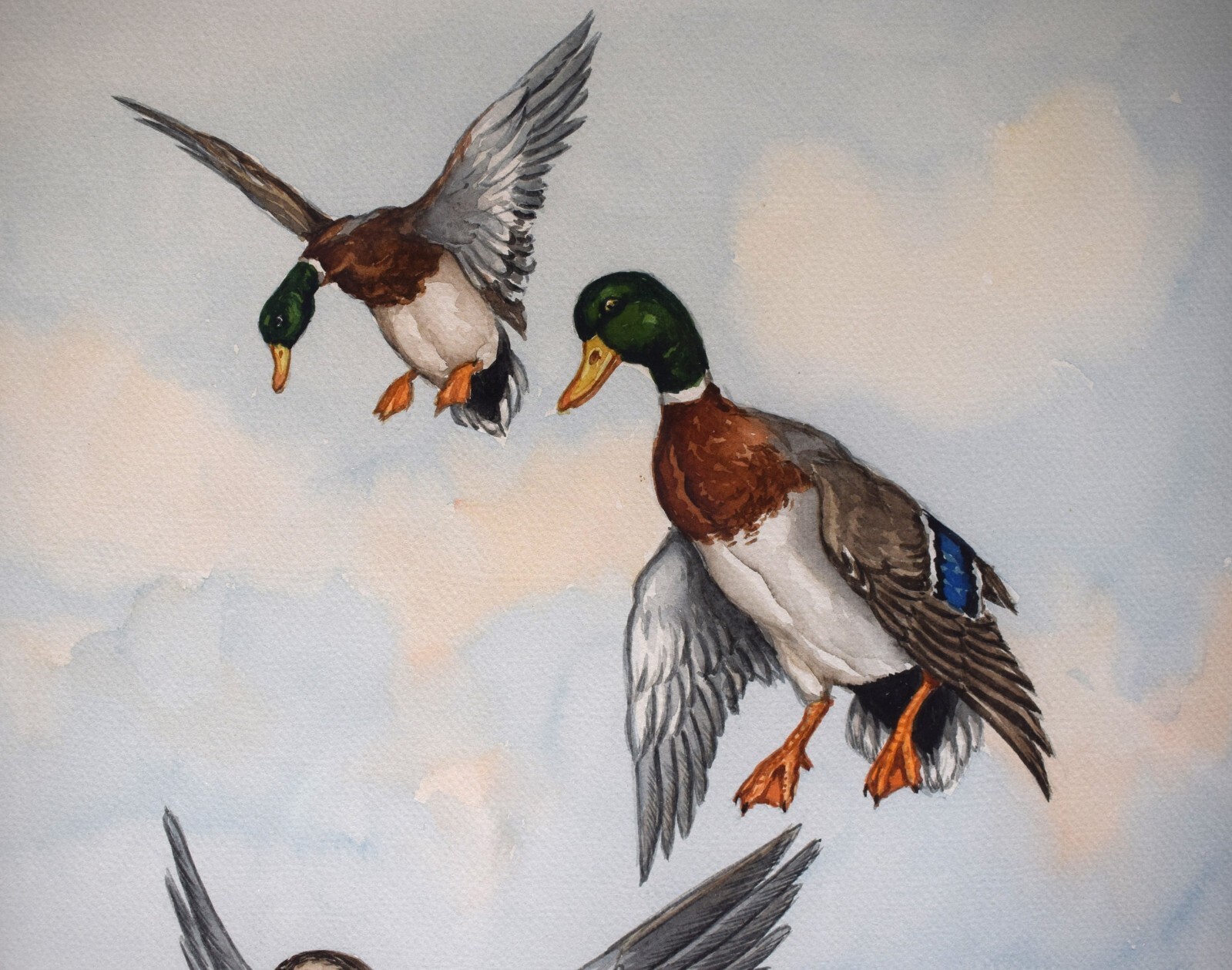 «3 Ducks in Flight» Watercolour by Jean Herblet Ex- C.Z. Guest Collection