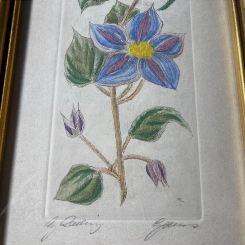 Vintage Original Flowers Drawing signed and named by the Artis 9 x 15 in