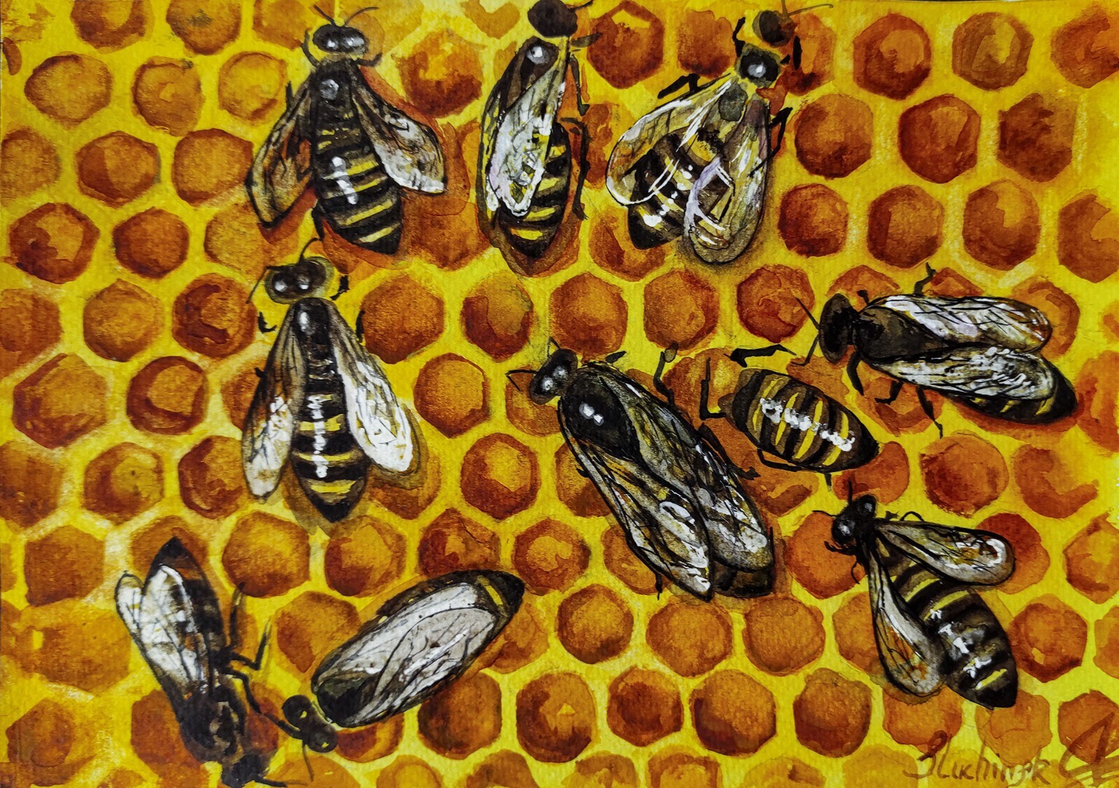 Bee Wall Art Watercolor Original Art Insect Artwork Honeycomb Painting