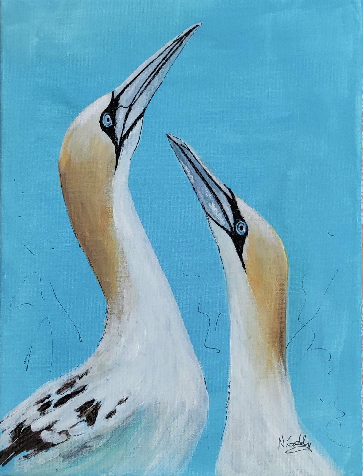 Original 9 x 12 Expressive Northern Gannets Birds Acrylic on Canvas Painting