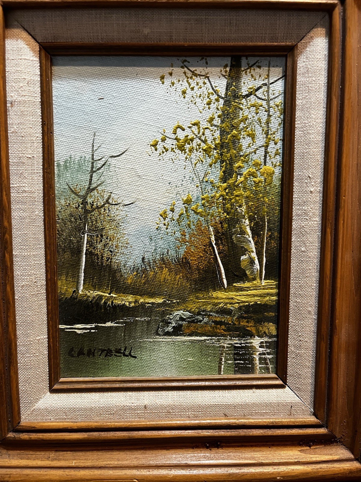 VTG P Cantrell Original Oil On Canvas Wooded Autumn Landscape Framed Painting