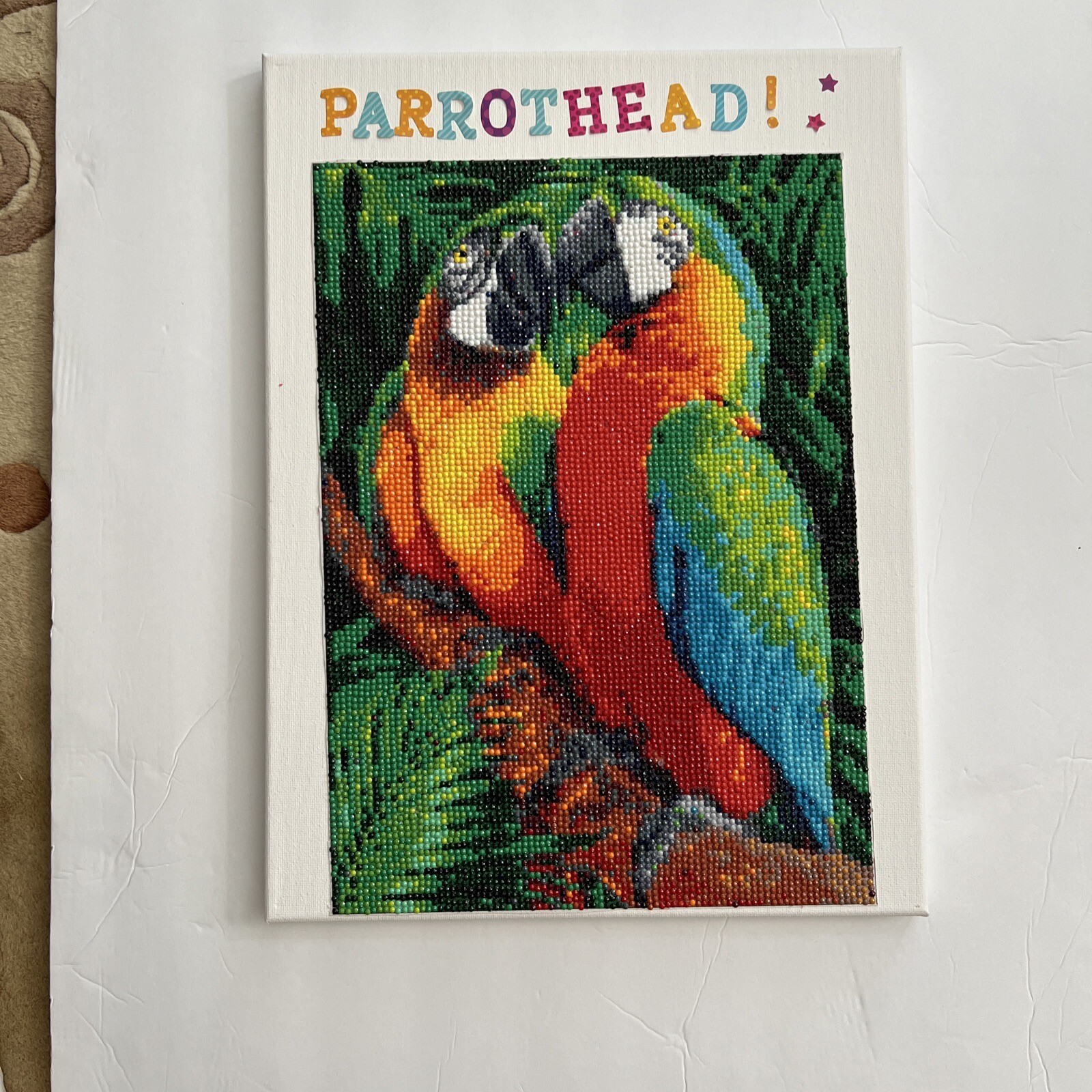 Parrot Head Diamond Portrait 12”X 16” Mounted On Canvas