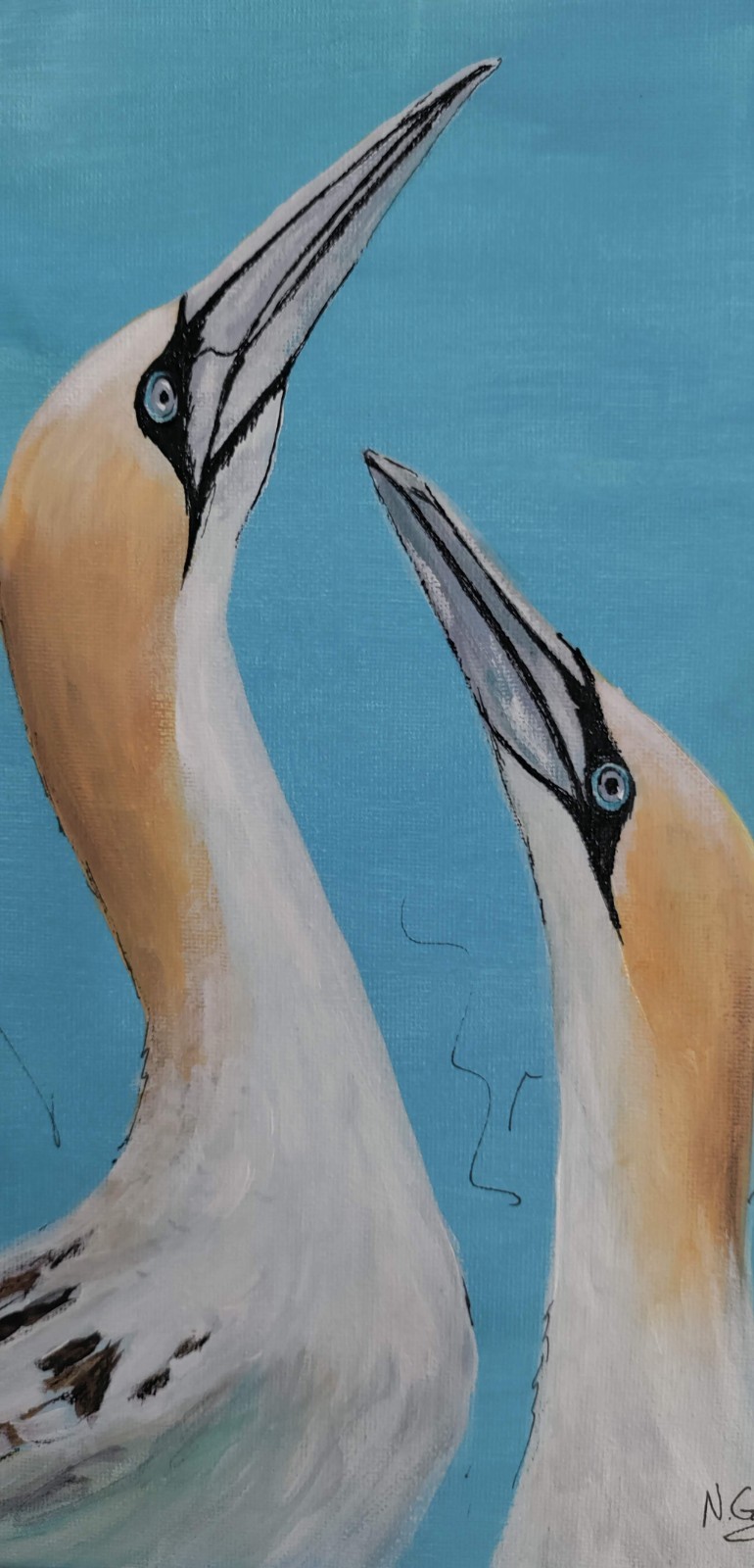 Original 9 x 12 Expressive Northern Gannets Birds Acrylic on Canvas Painting