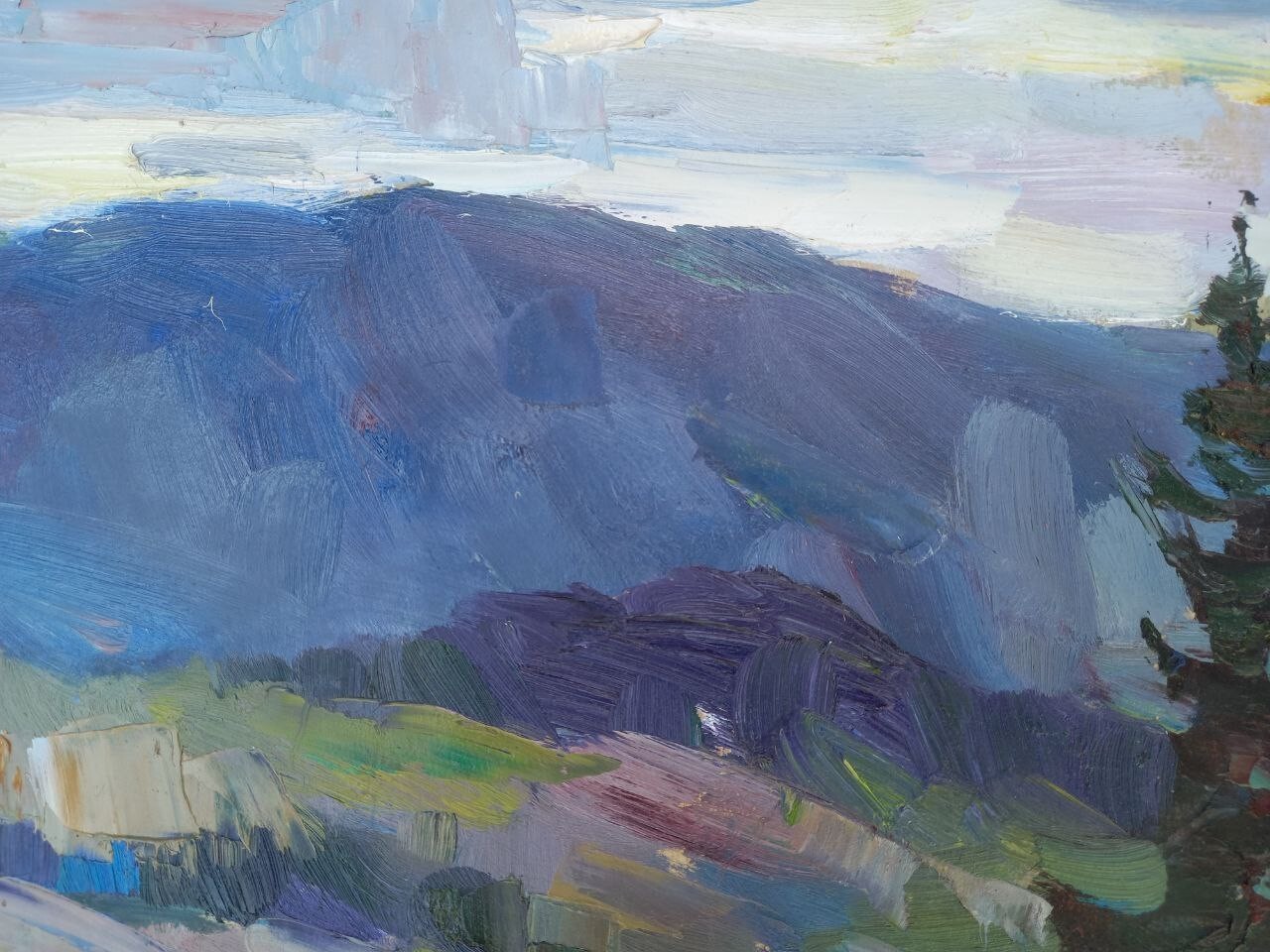 Oil painting Mountain pasture ground Ukrainian painter Cardboard Unframed Art