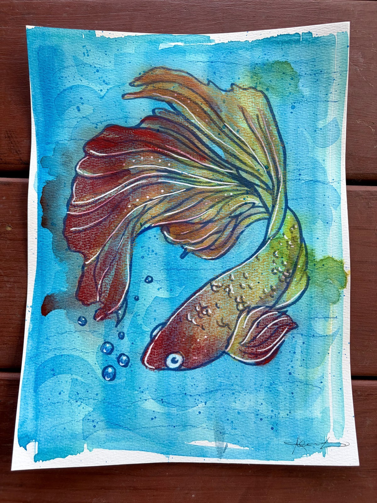 Original Betta Fish Painting By Alannah Dyer- Acrylic 9×12 in. Pets Fishing Red