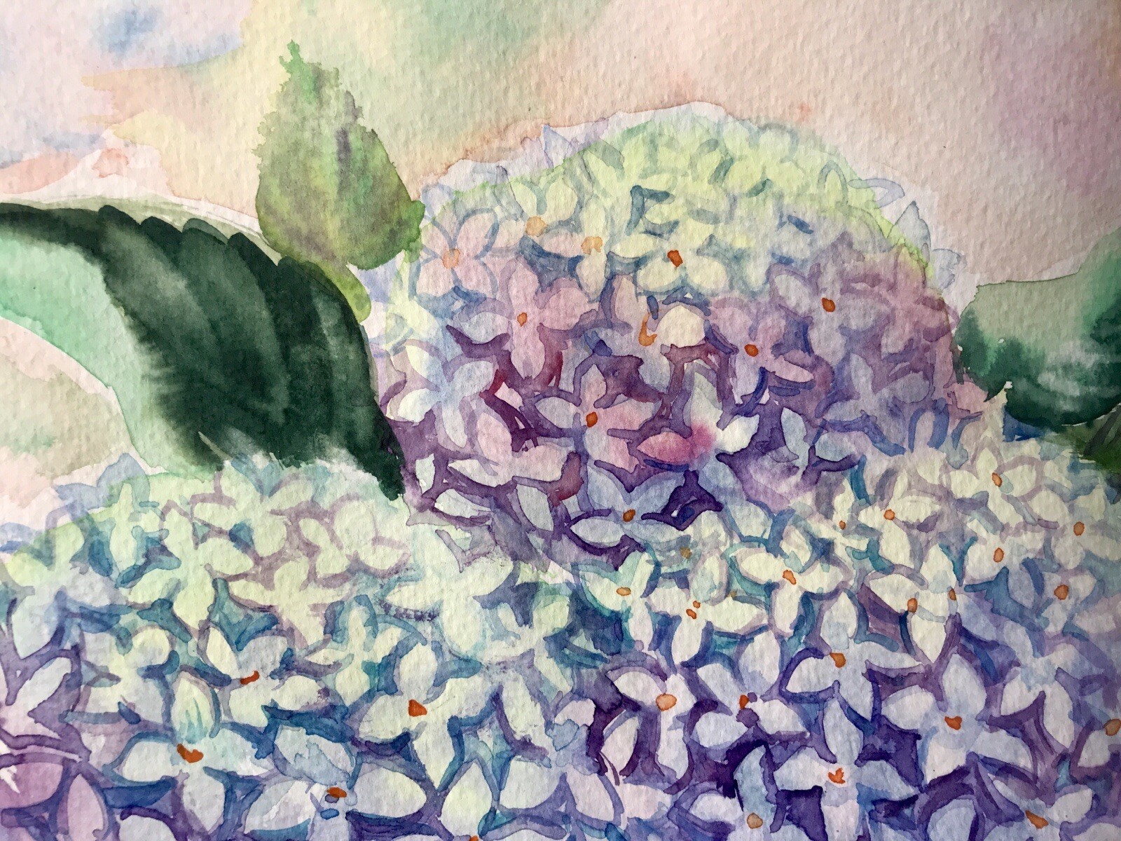 Original Watercolor. Hydrangea Flowers. Blue, Purple Floral Wall Art 9″x12″