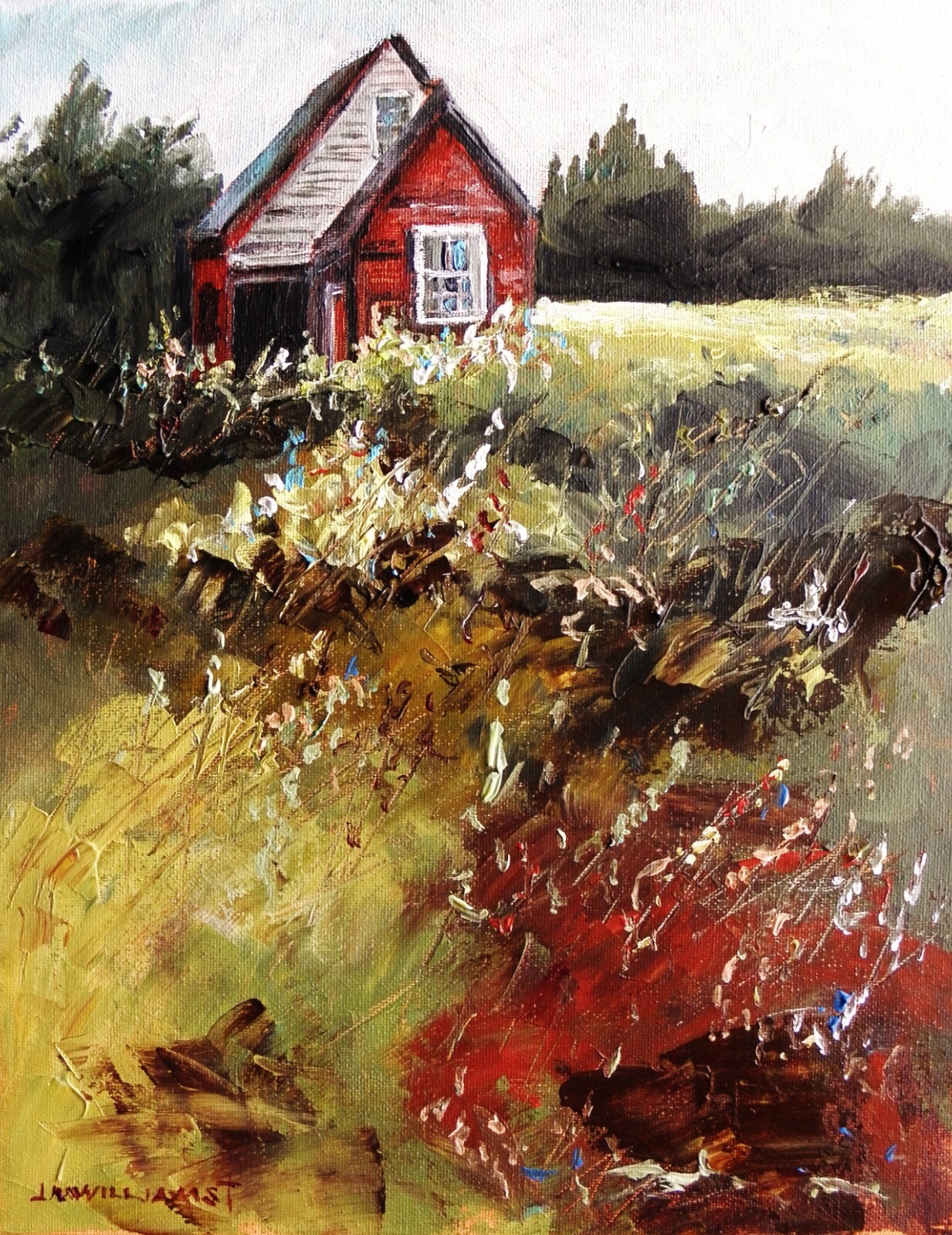 On A Maine Island