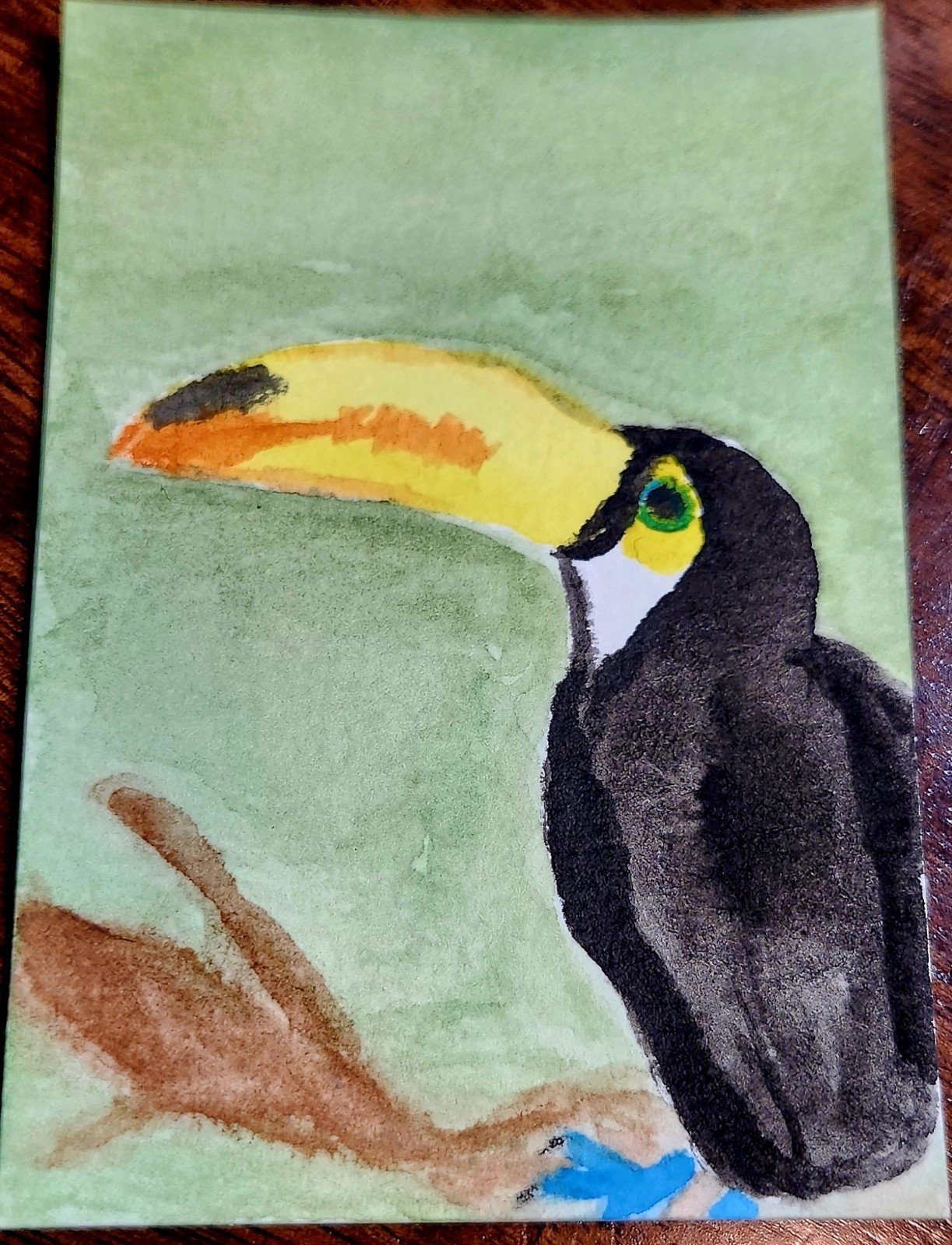 ACEO Art Card Original Watercolor Tropical Bird Toucan Signed