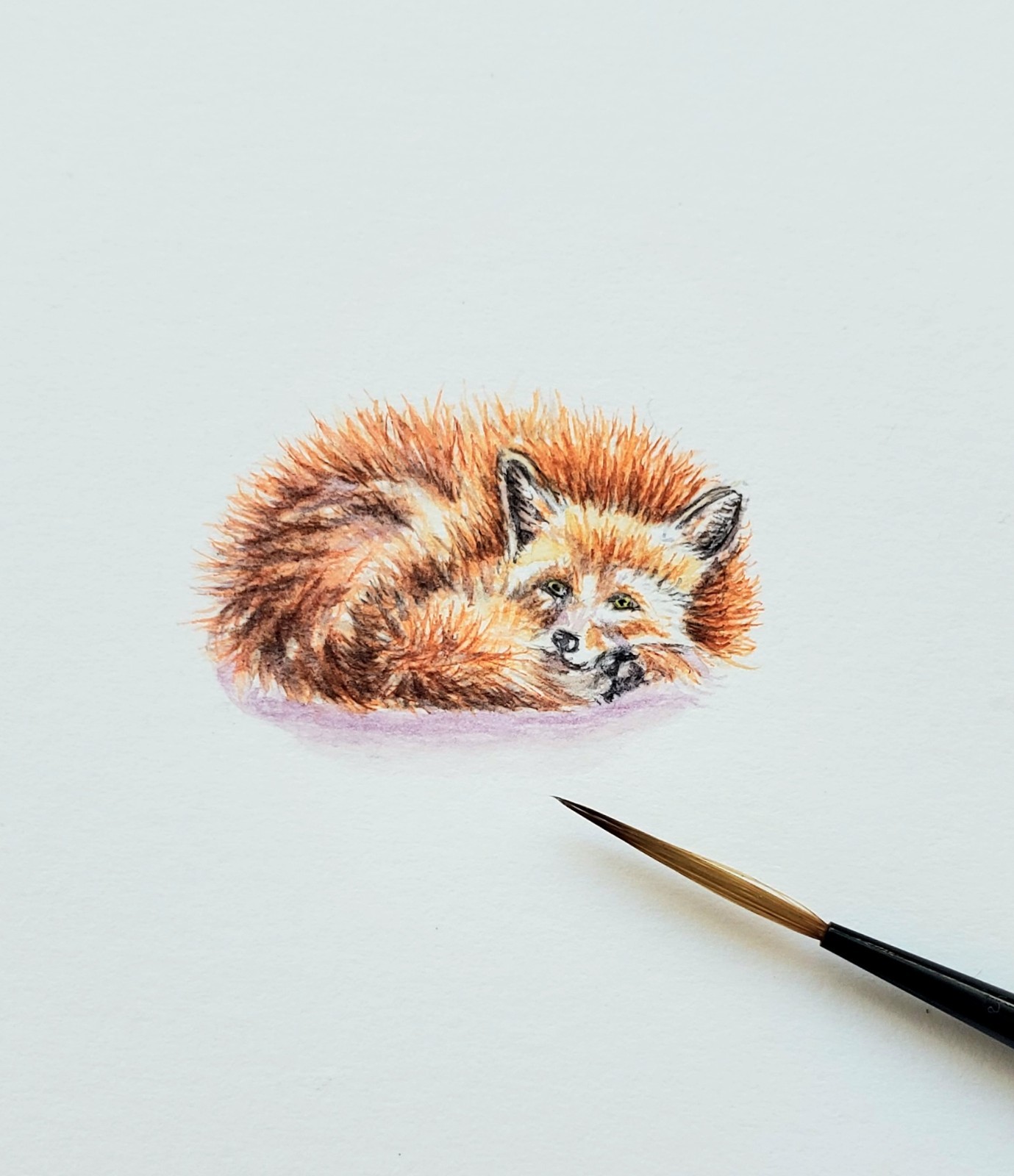 Custom Miniature Pet Portrait origin. Hand painted watercolor 1″ x 1.5″ or ACEO