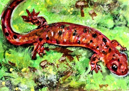 ORIGINAL ACEO Painting SALAMANDER Amphibian Spring Animal Nature Moss ATC ART