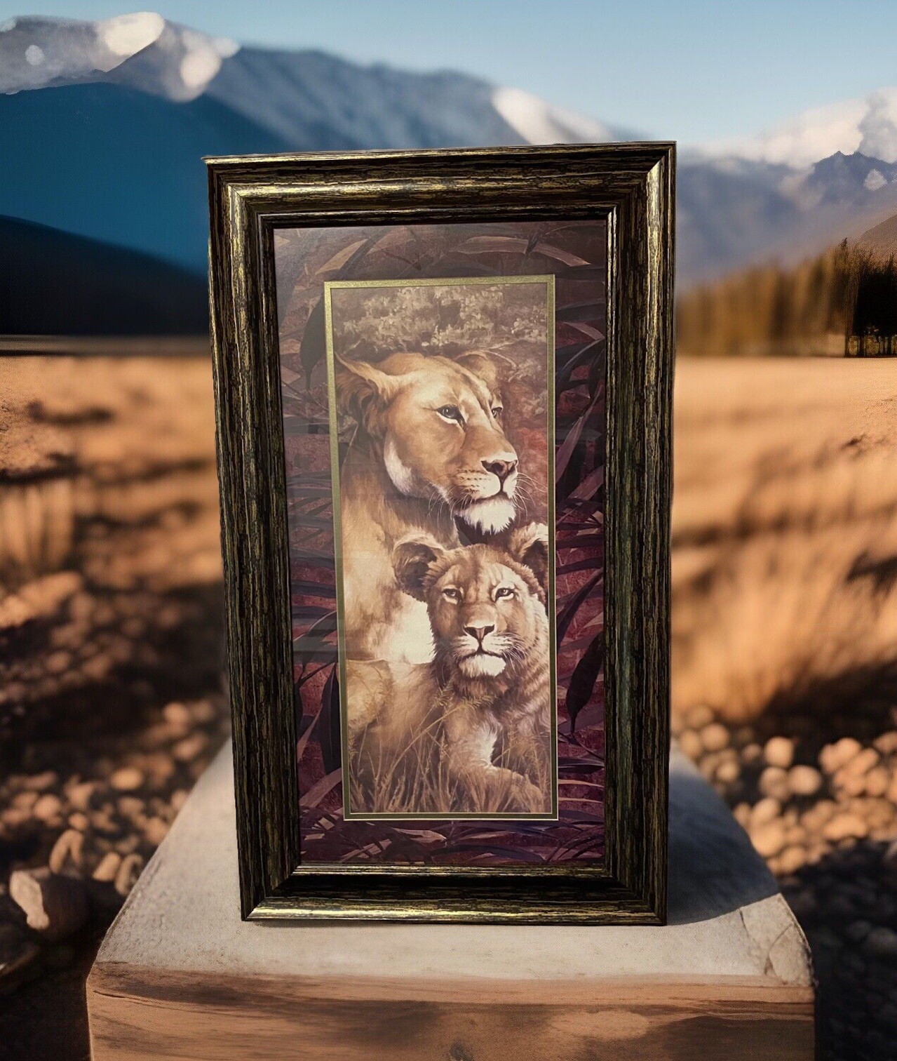 Realistic Framed Lion Painting 28” x 16” Size Medium Brown Savannah Red