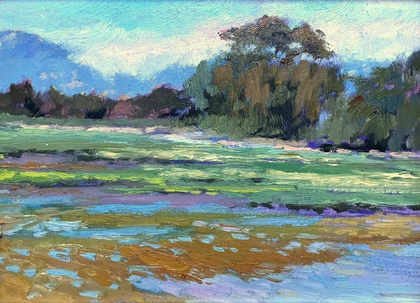 California Plein Air Impressionist -Baylands Park -Sunnyvale, Palo Alto