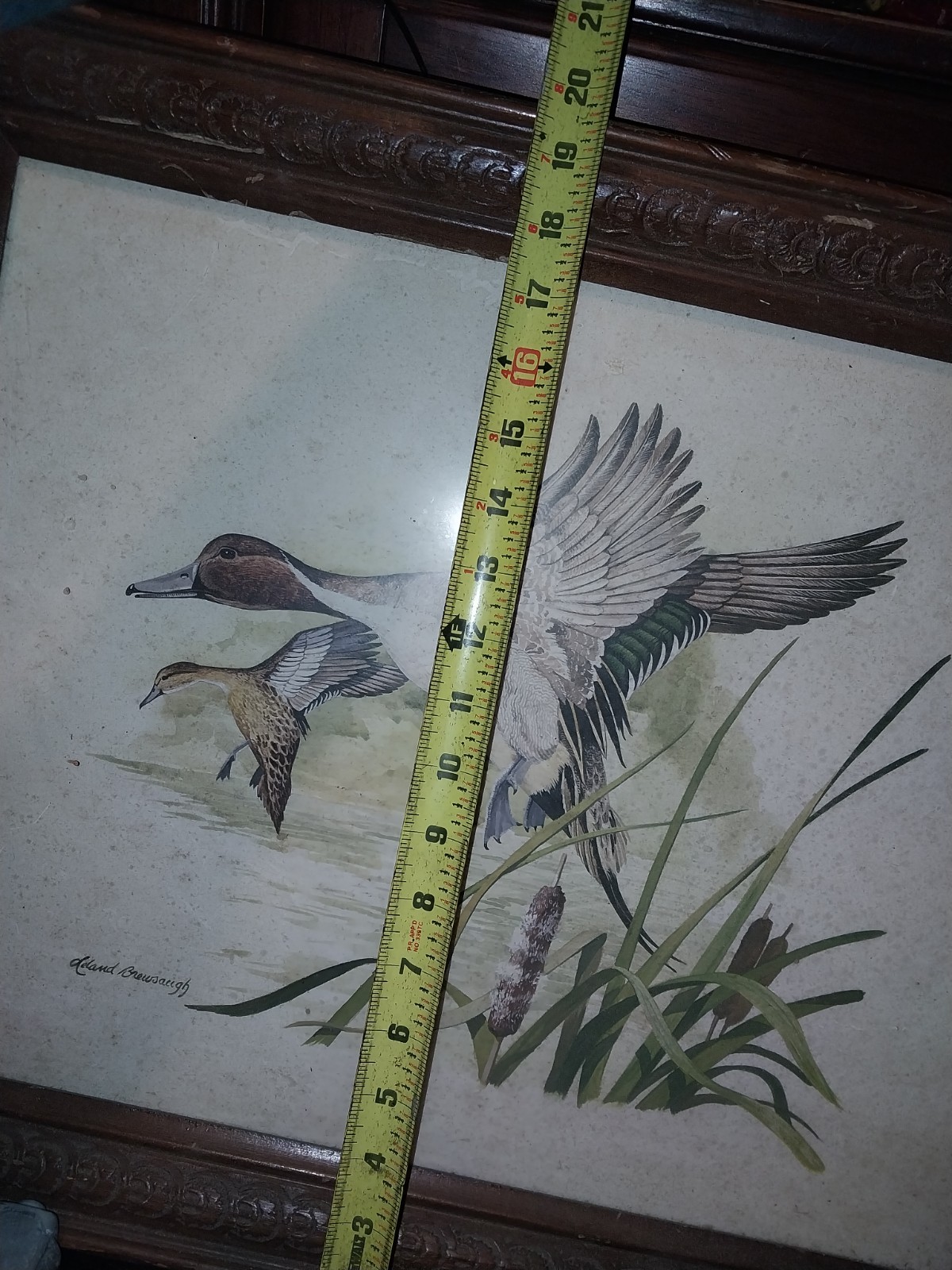 Aland Brunsaugh Hand Signed Framed Painting Ducks Birds Nature 22×18