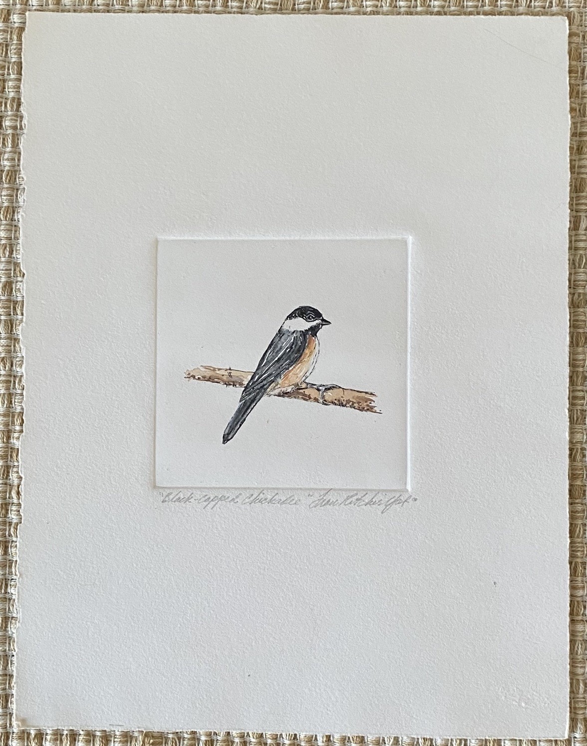 Original Black Capped Chickadee Bird Watercolor Painting Fran Ritchie Yost