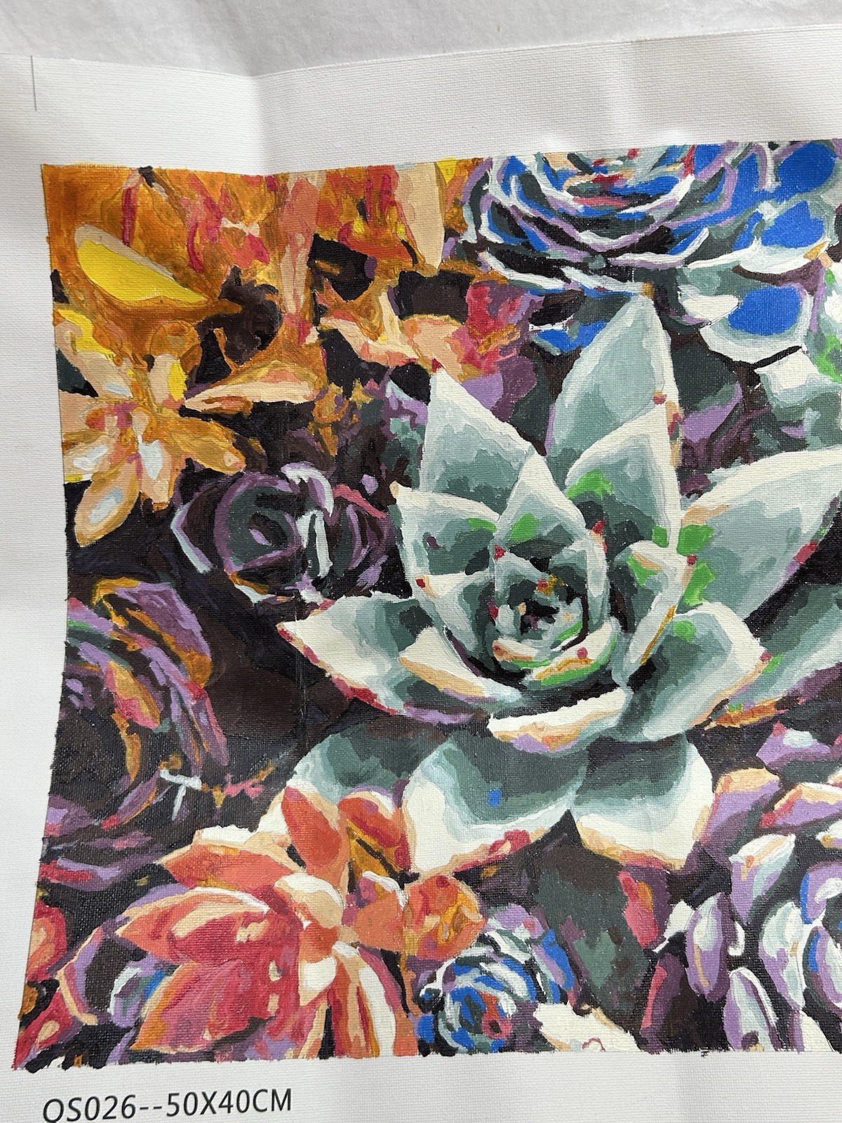 Finished Paint By Number Succulent Floral Still Life 16×20 Hand Painted Artwork