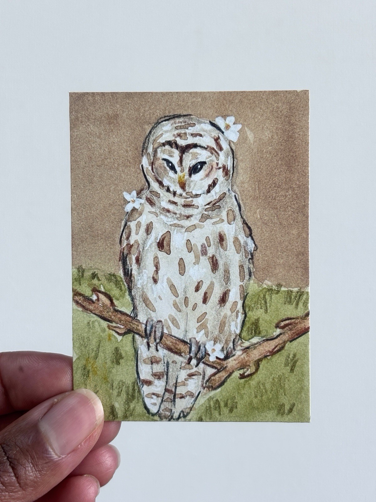 ACEO PRINT, Barred Owl, Mini Art Painting, Abstract Bird