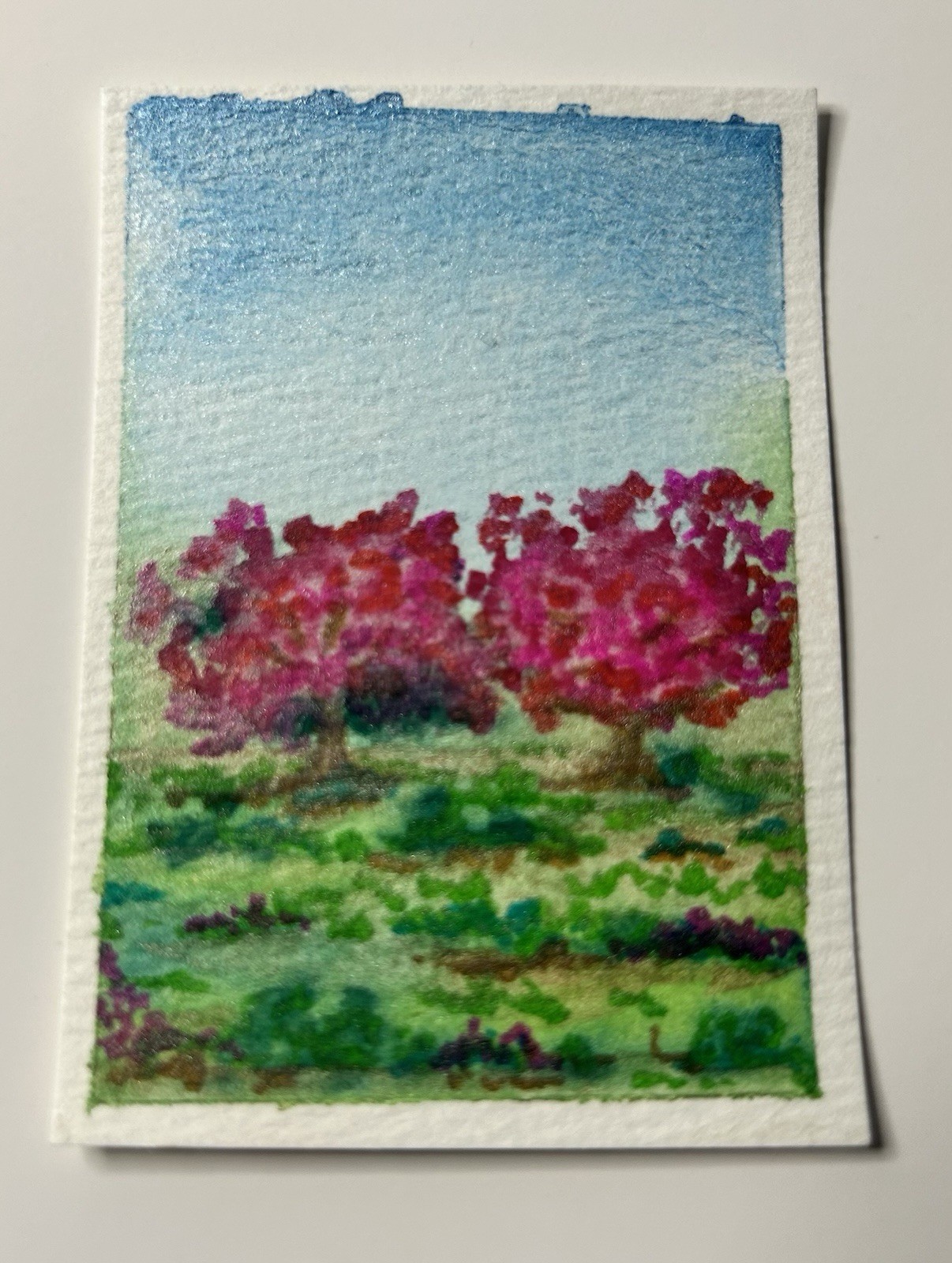 ACEO Original Modern Impressionist Bougainvillea Tree Lanscape Watercolor Paint
