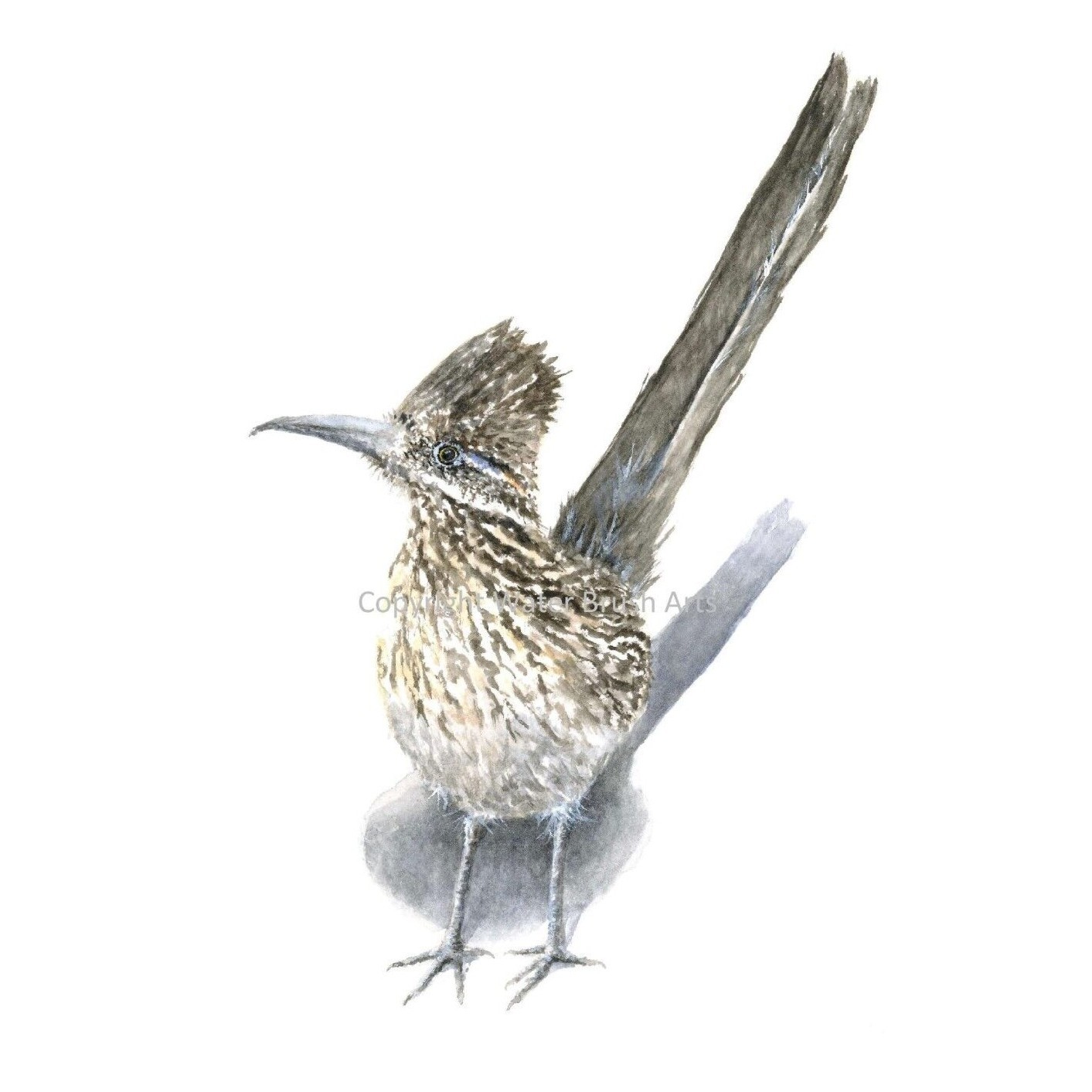 Roadrunner 02 8″x10″ Giclee Print of Hand-Painted Watercolor, Unframed