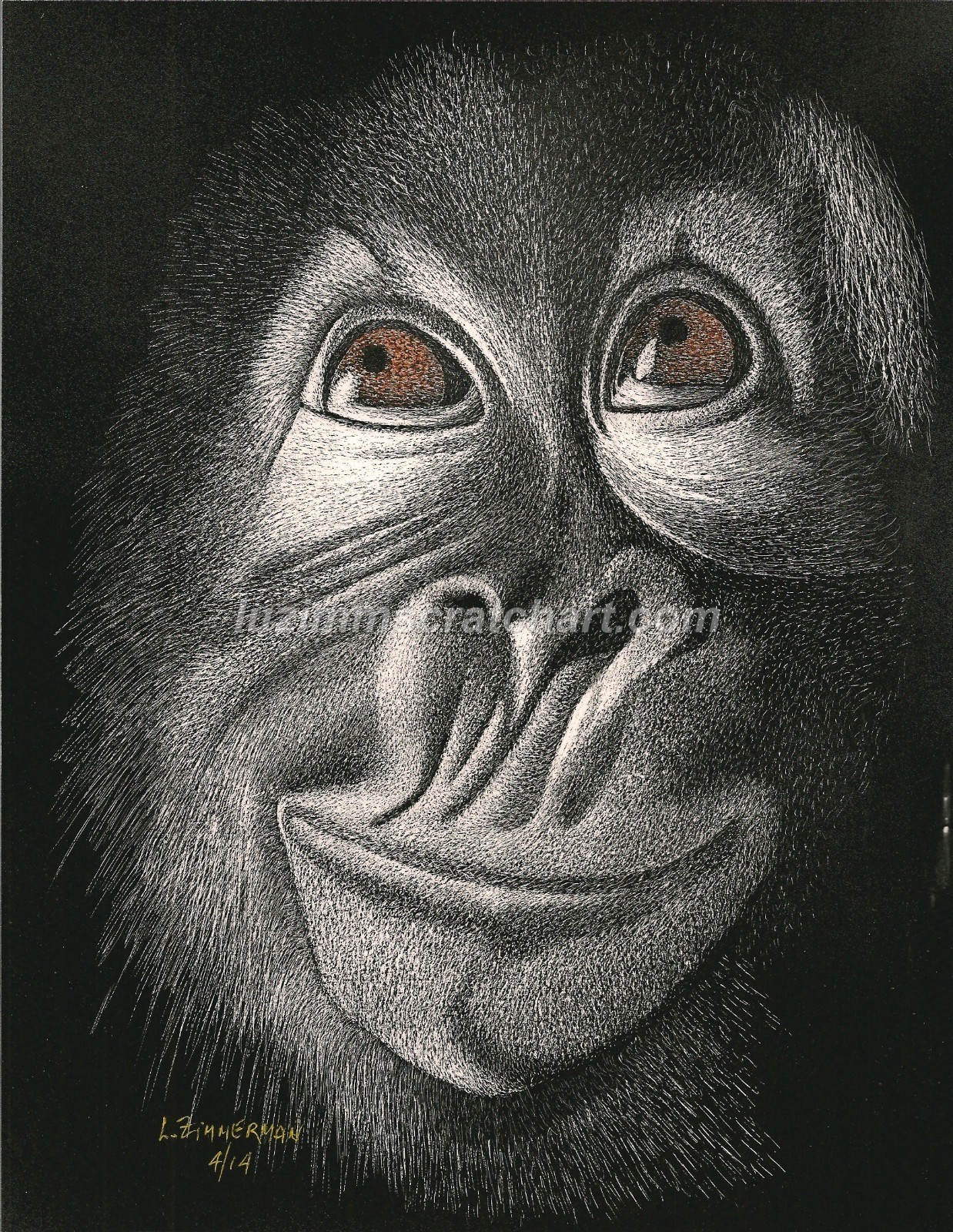 Ever Seen a Smiling Orangutan? Cute, ain’t he? -Reg Board 8.5×11 Scratch Signed