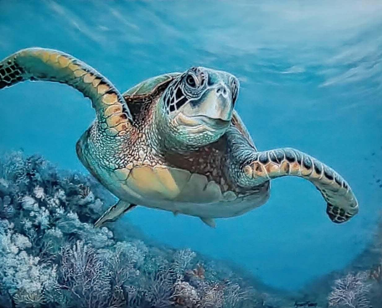 Original Expressive 22 x 28 Tropical Sea Turtle Acrylic Canvas Art Painting