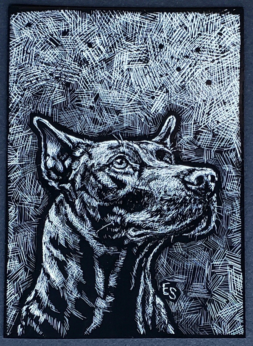 Dog Original ACEO Scratchboard Art Card ATC aznative68