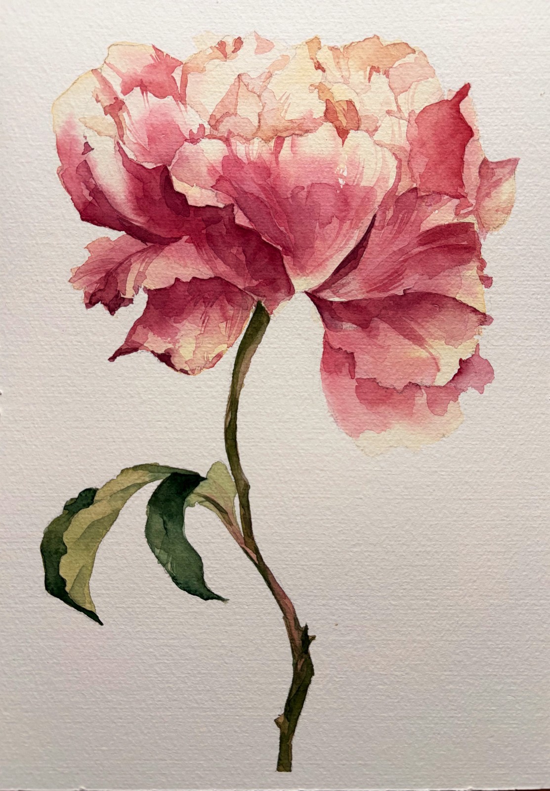 Original Watercolor Painting «Peony Bloom»21×30 cm,8.3×11.7 in