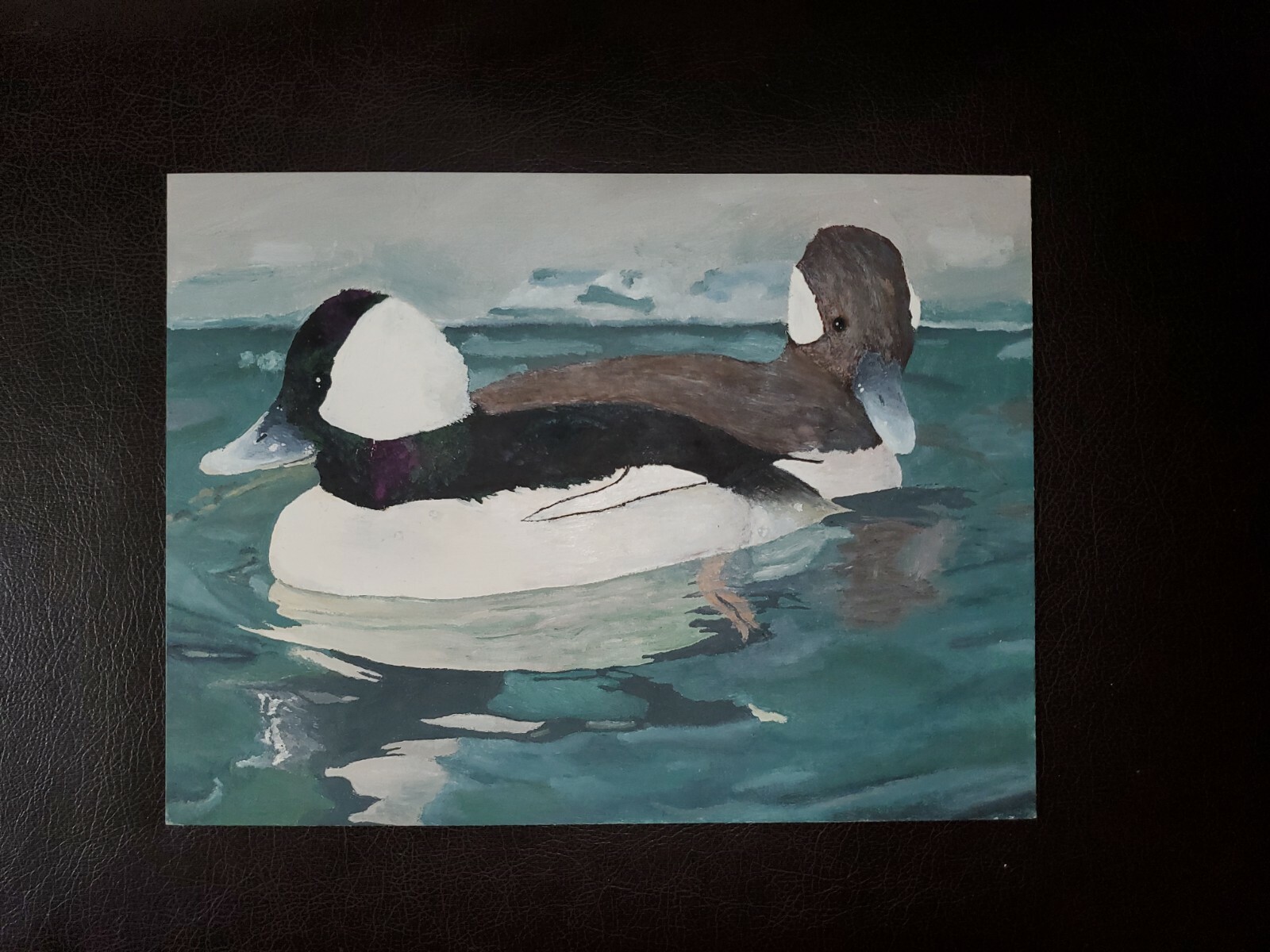 Bufflehead (Duck) – Acrylic Painting – Original Artwork – 9″ x 12″