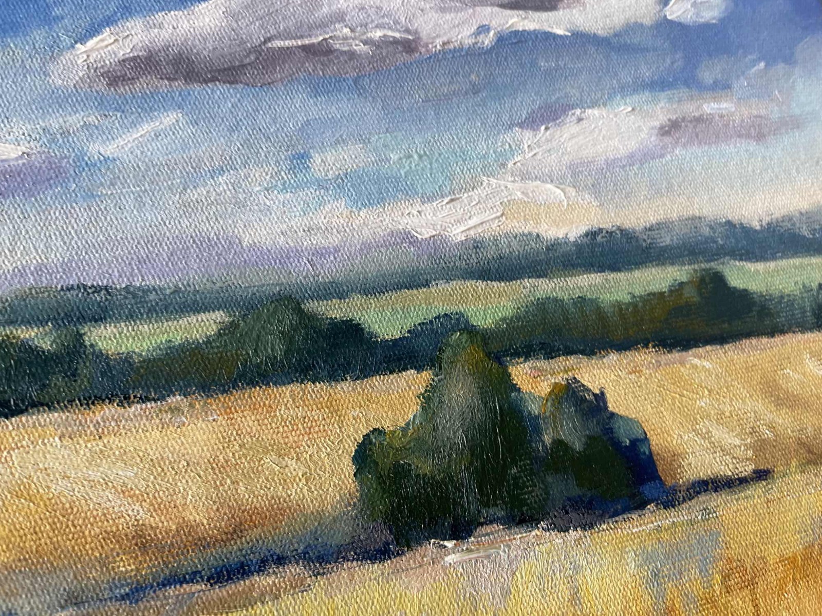 Ukraine Painting Original Oil Painting Wheat Fields Landscape Art 16×20″ signed