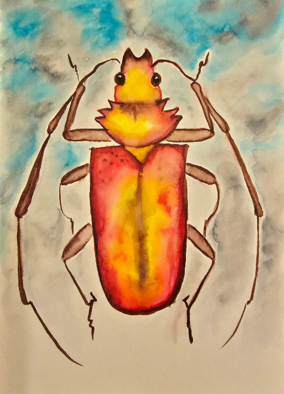 Beetle Watercolor Painting Original Insect Wall Decor Painting Beetle Wall Decor