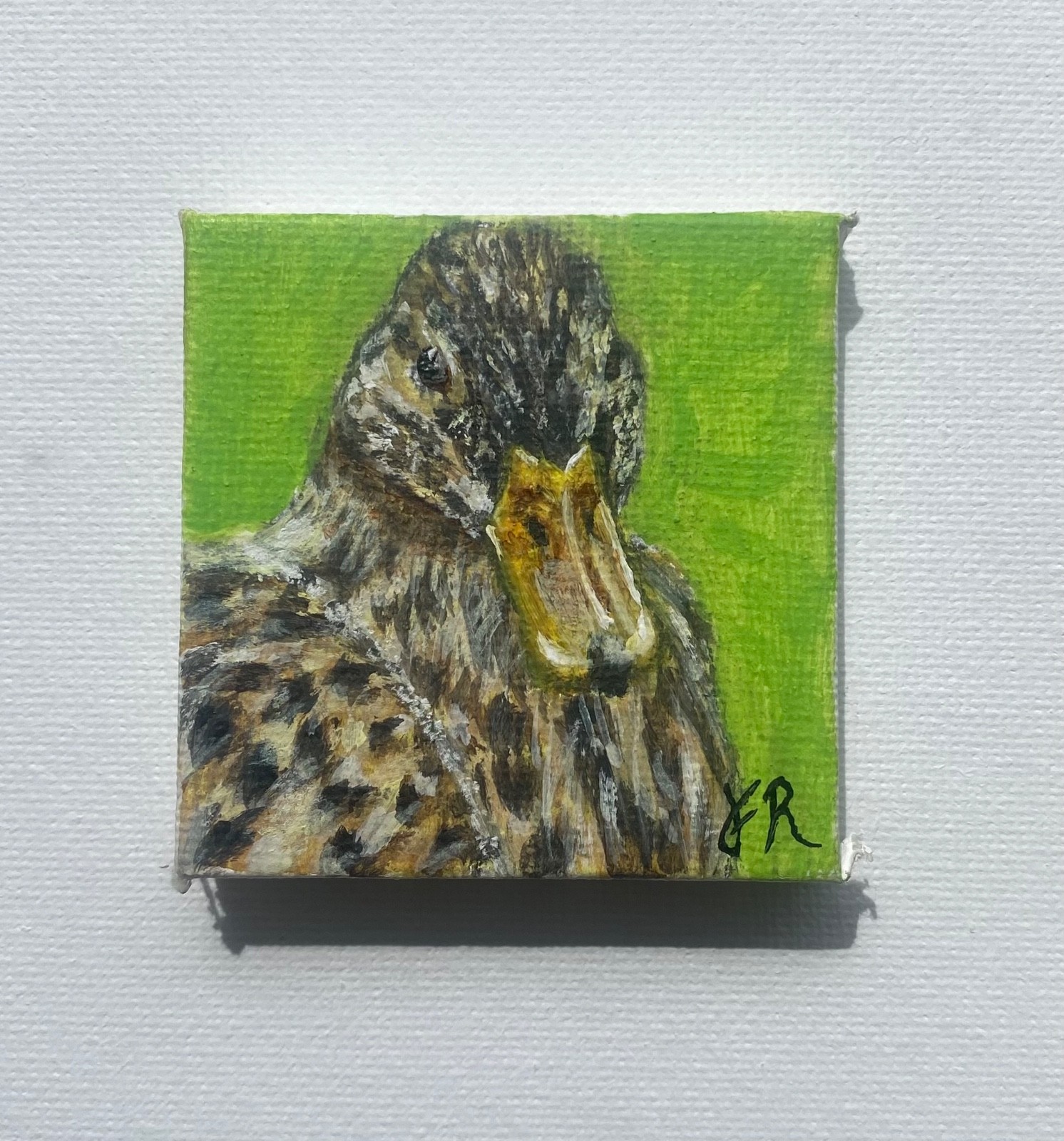 Original, Mallard Duck Female, Acrylic Mini Painting 2in by 2in Art