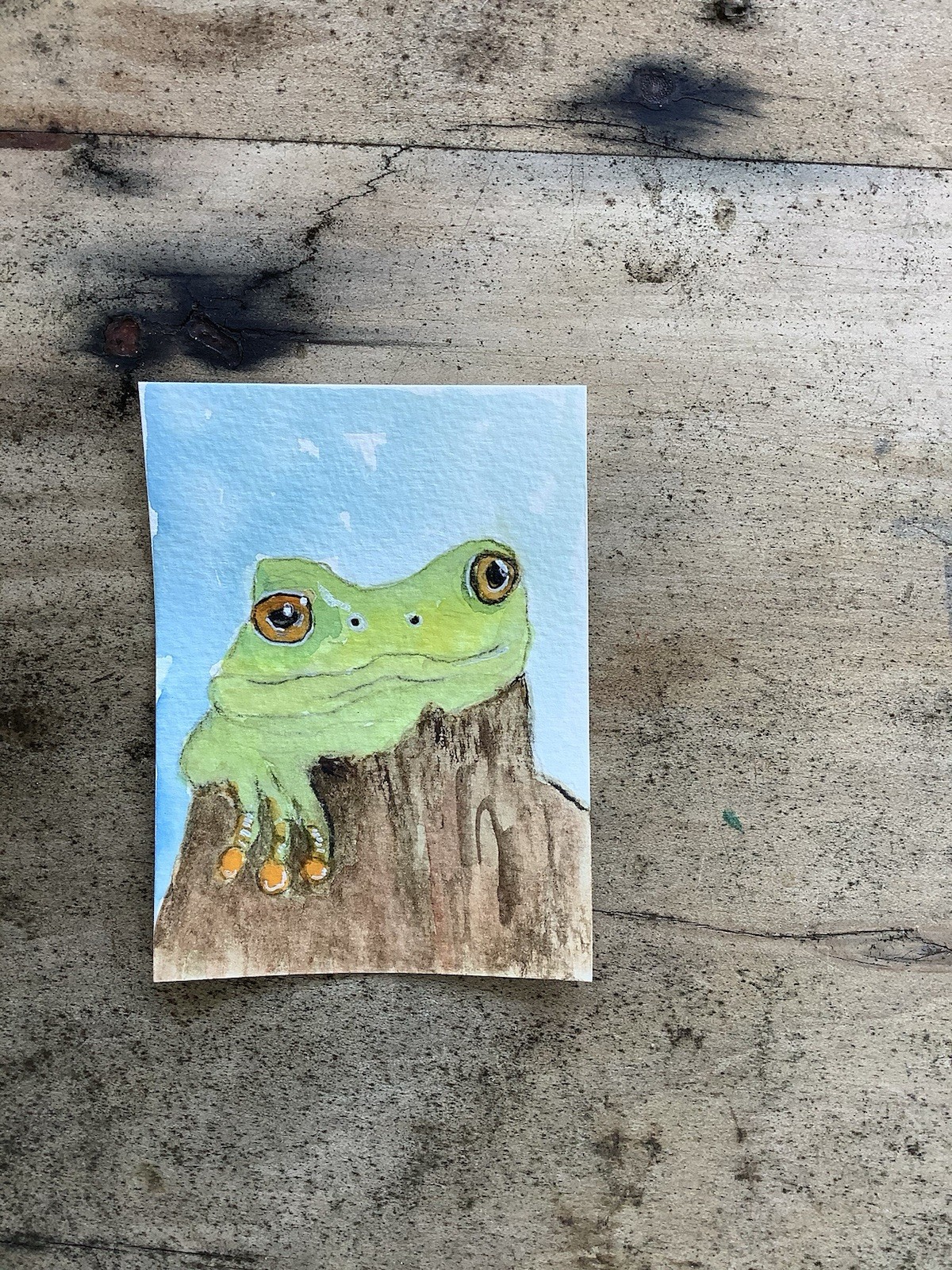 ACEO By Kenna Watercolour Original Painting Green Frog 2.5” X 3.5” Signed ÀTC