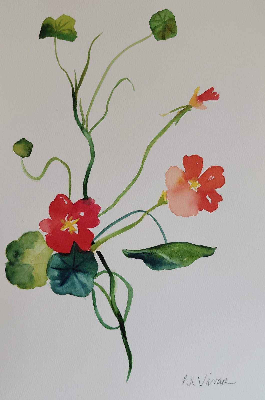 MONA VIVAR Original 12×9 Flower Botanical Impressionism Fine Art Painting