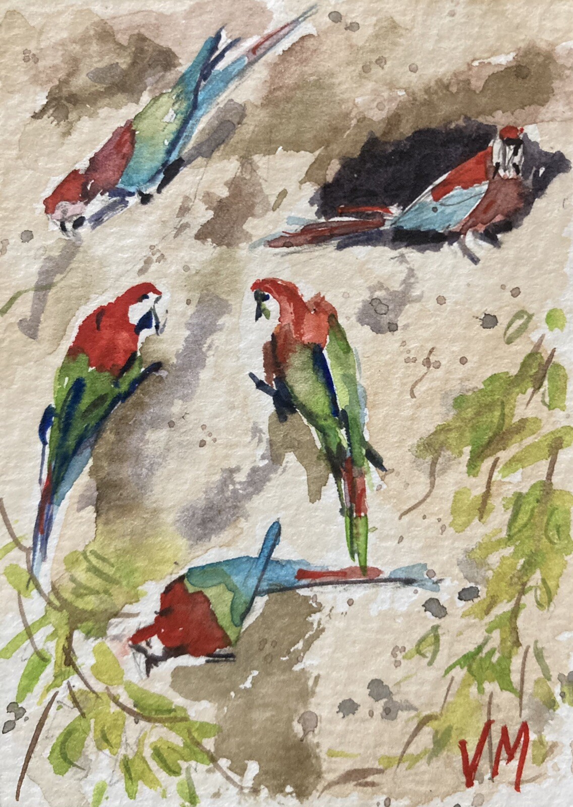 ACEO Original Watercolor Painting collectible art card “ Parrots”