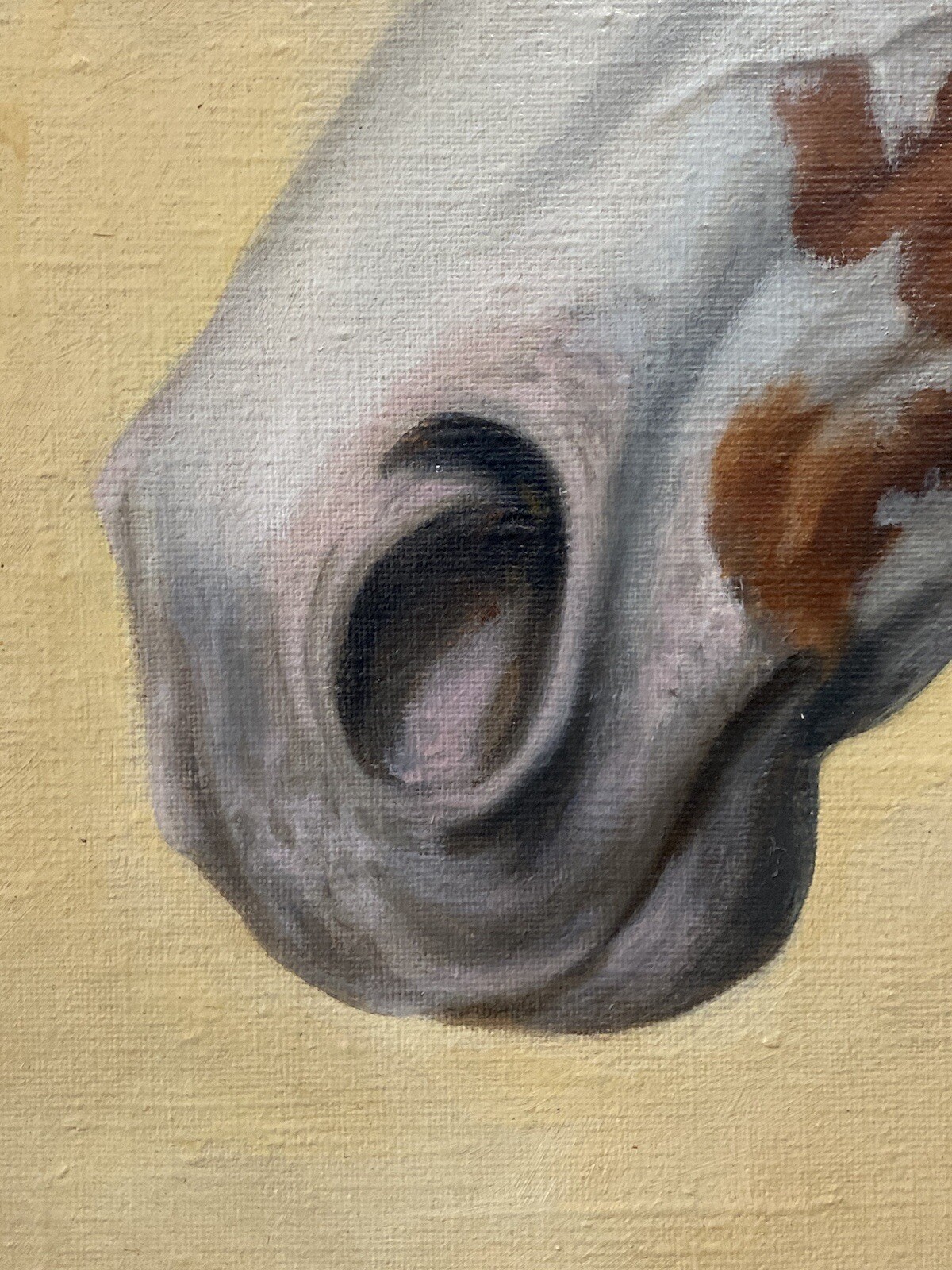 🔥 RARE Fine Vintage Old Western American Paint Horse Oil Painting BILOTTA 1960s