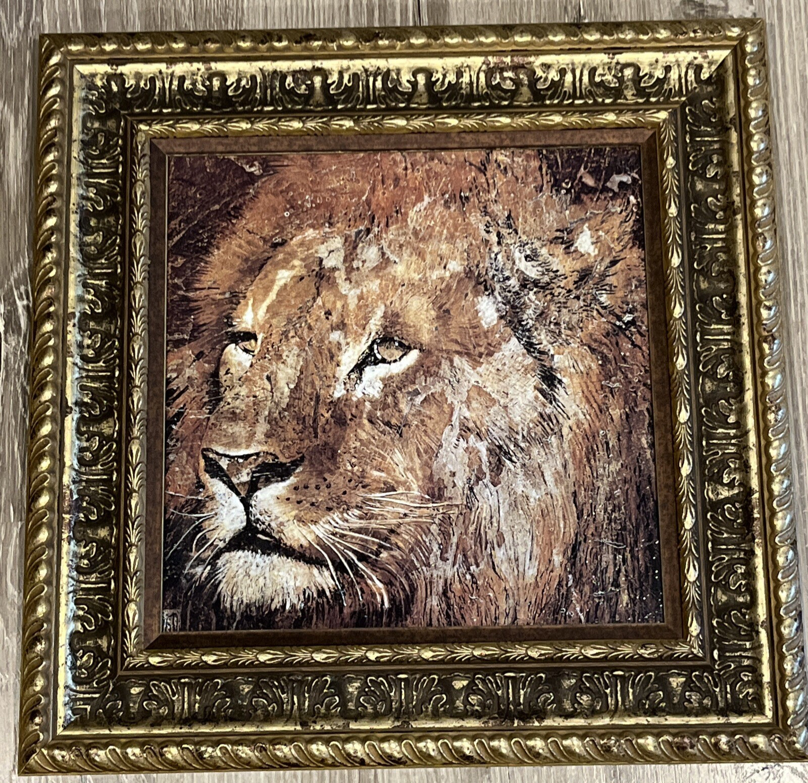 Lion Framed Art 17.5×17.5” Wildlife Wall Home Decor