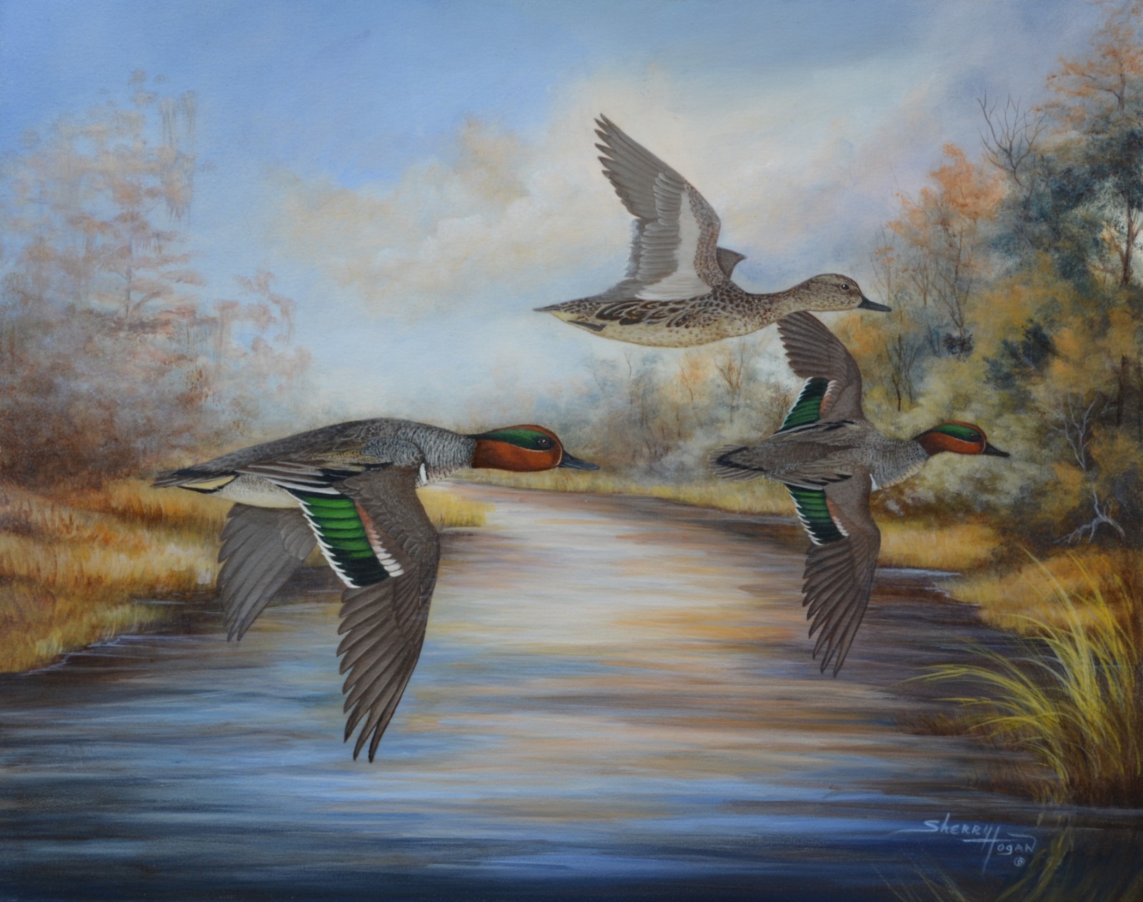 acrylic ORIGINAL Painting, Green winged Teal, flying, Marsh, Drake, Hen, Water