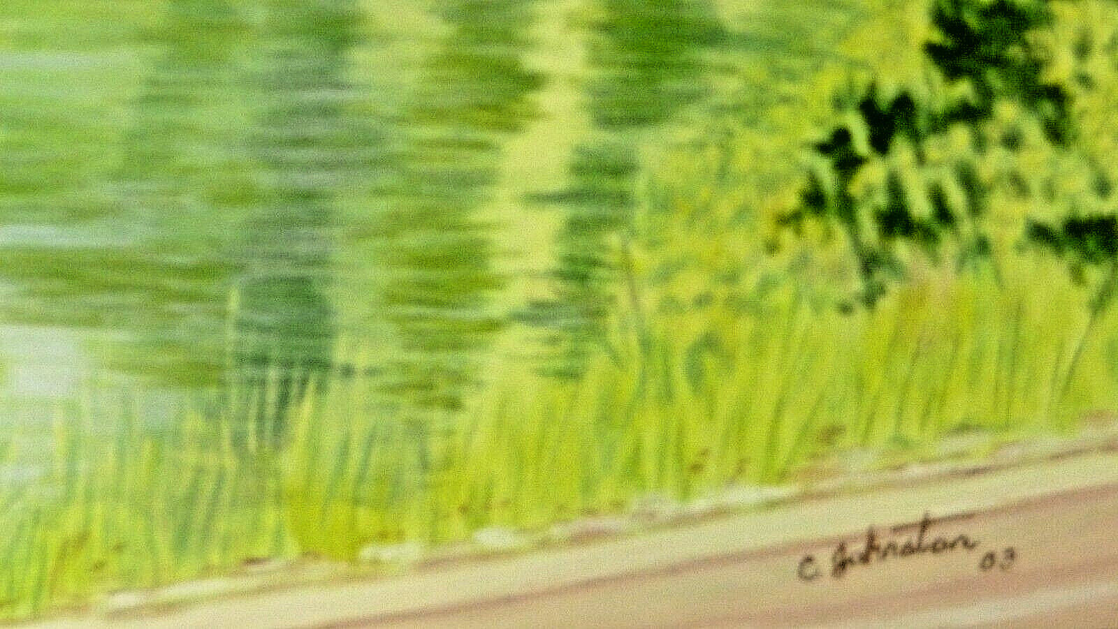 Original 24×12 Nature Oil Painting Catherine Johnston Natures Green Reflections